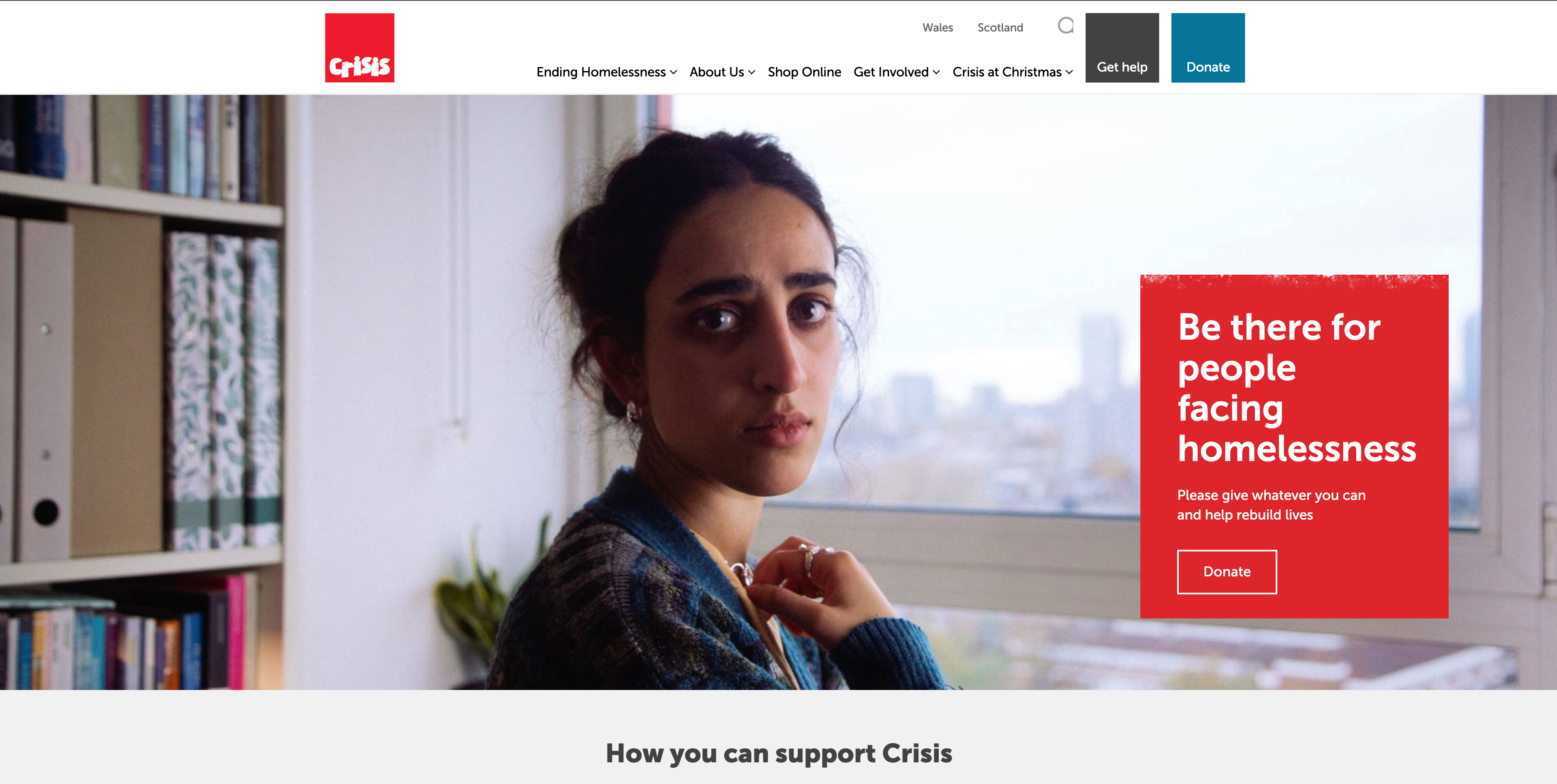 Crisis Crisis