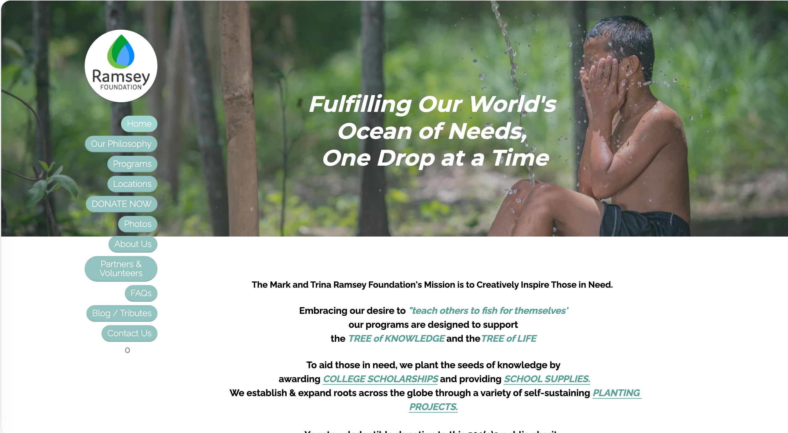 Ramsey Foundation strikingly nonprofit website example Ramsey Foundation strikingly nonprofit website example