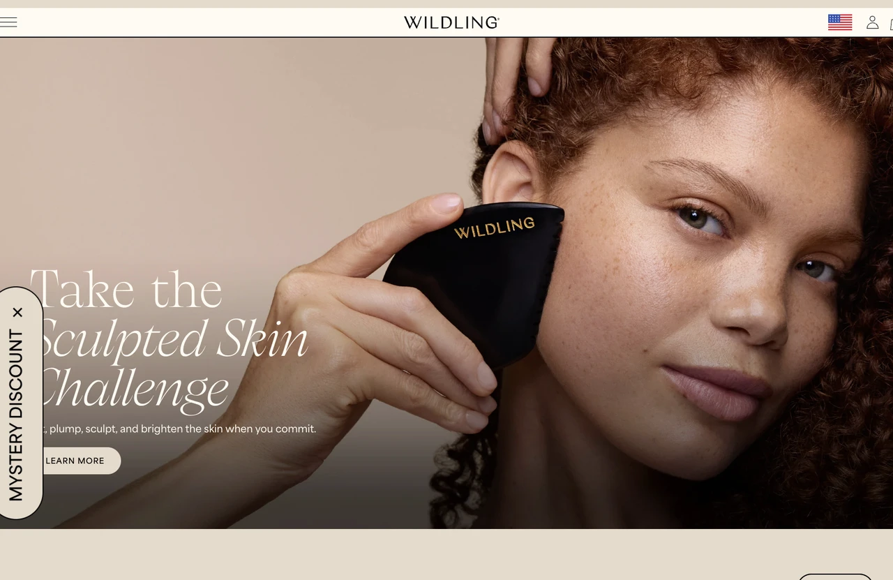 online shopping website