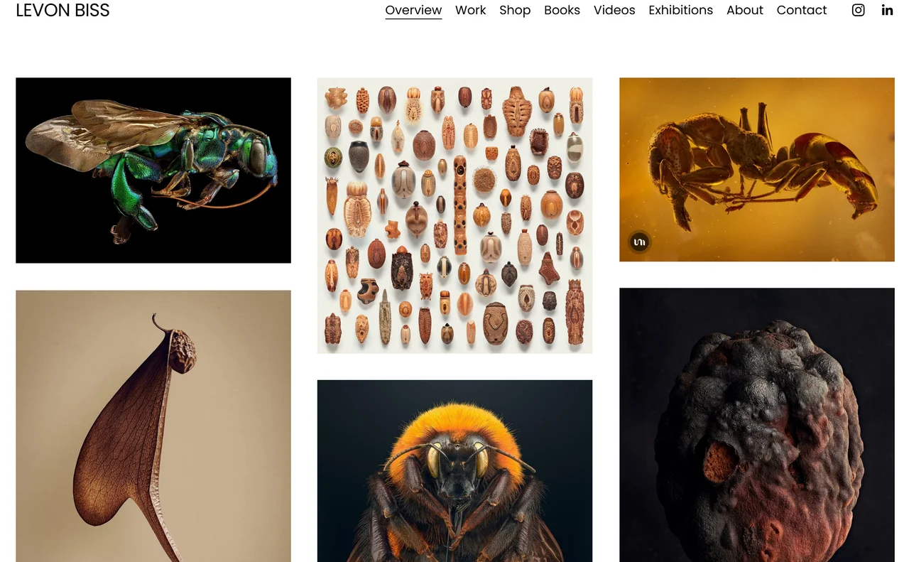 Homepage of Levon Biss – Macro Photography