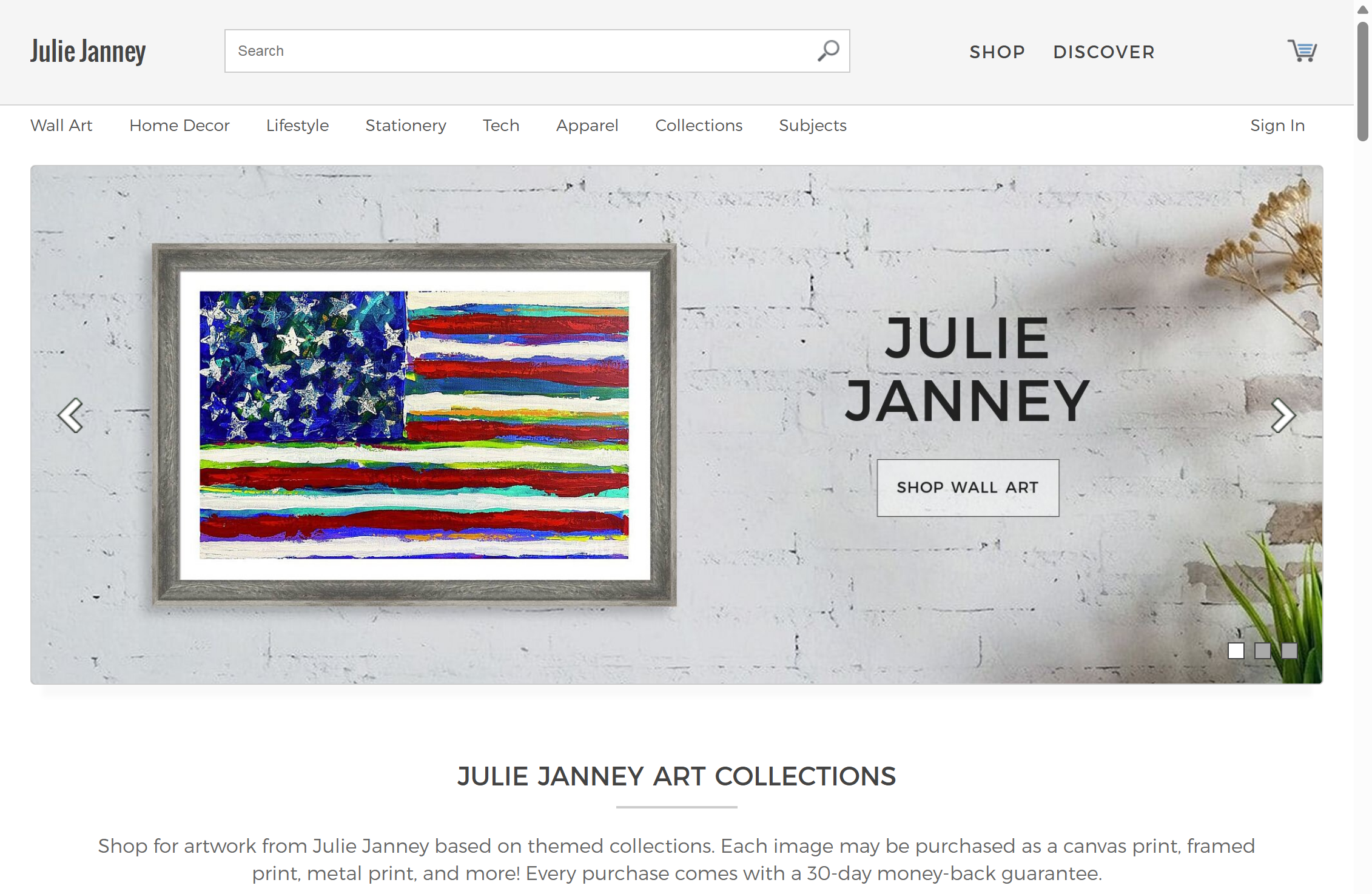 Página inicial do portfólio de Julie Janney Página inicial do portfólio de Julie Janney