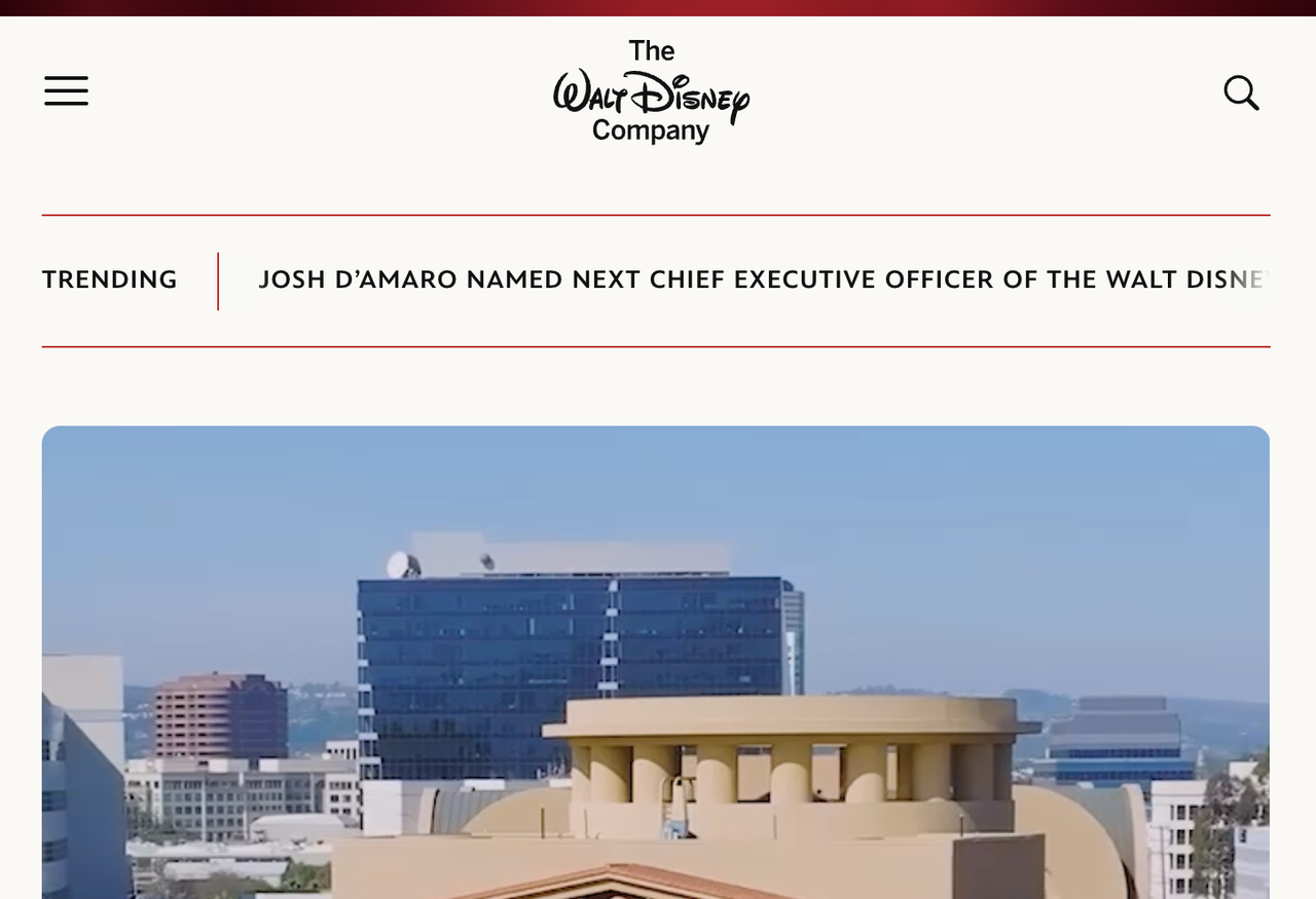 Webseitengestaltung durch führendes Unternehmen