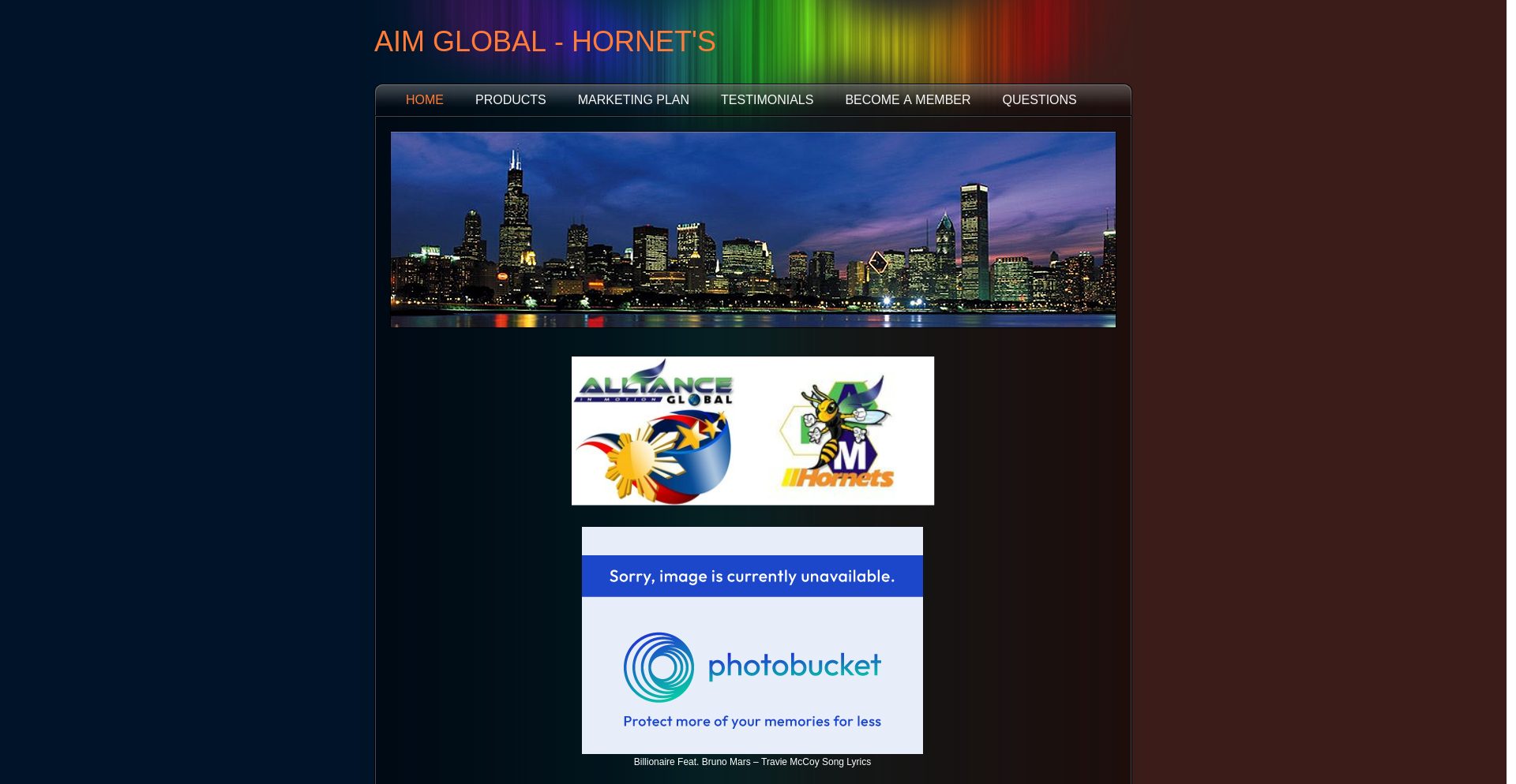 Aimglobal Hornets