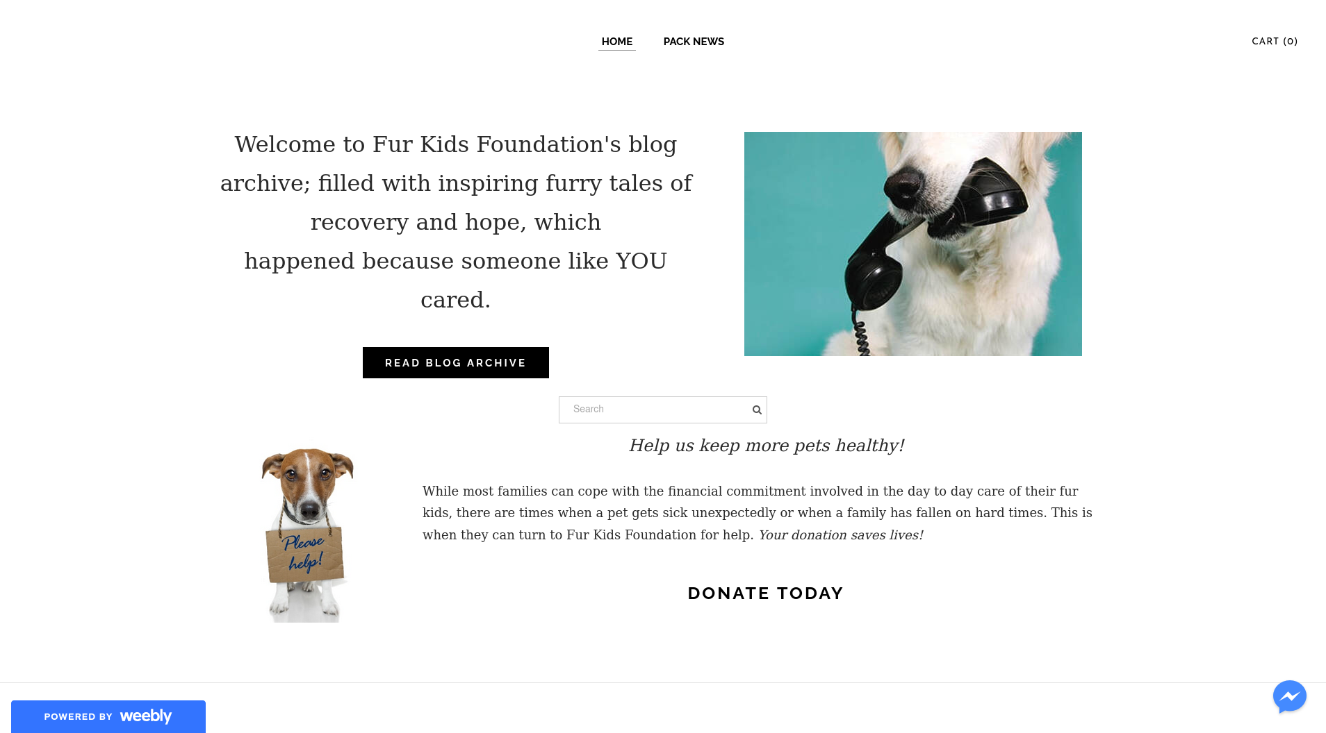 Furkidsfoundation