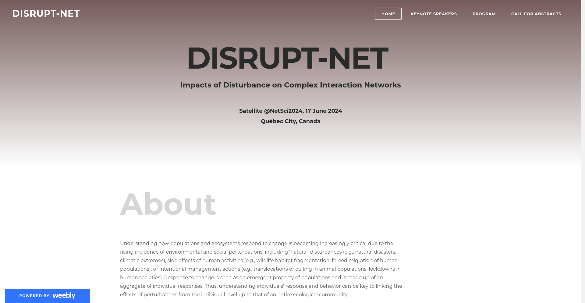 Disrupt Net