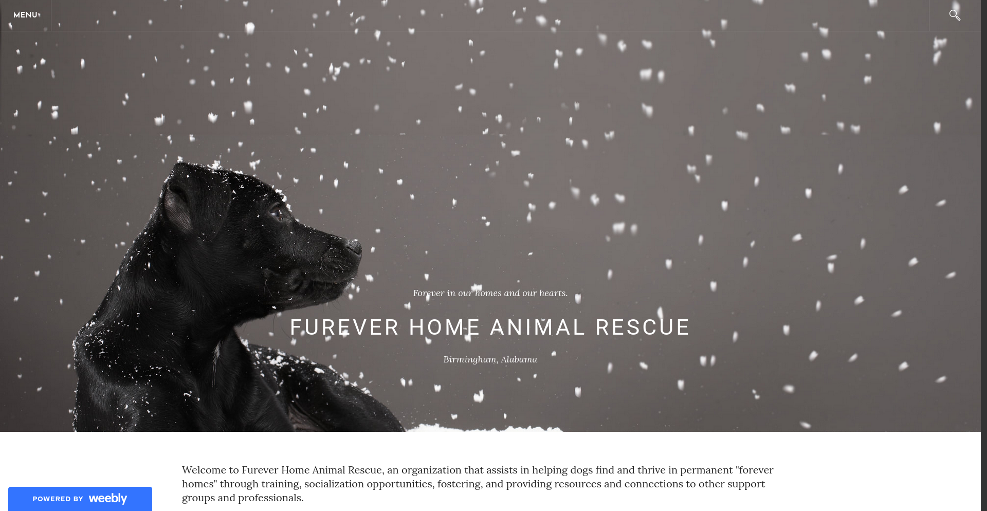 Fureverhomerescue