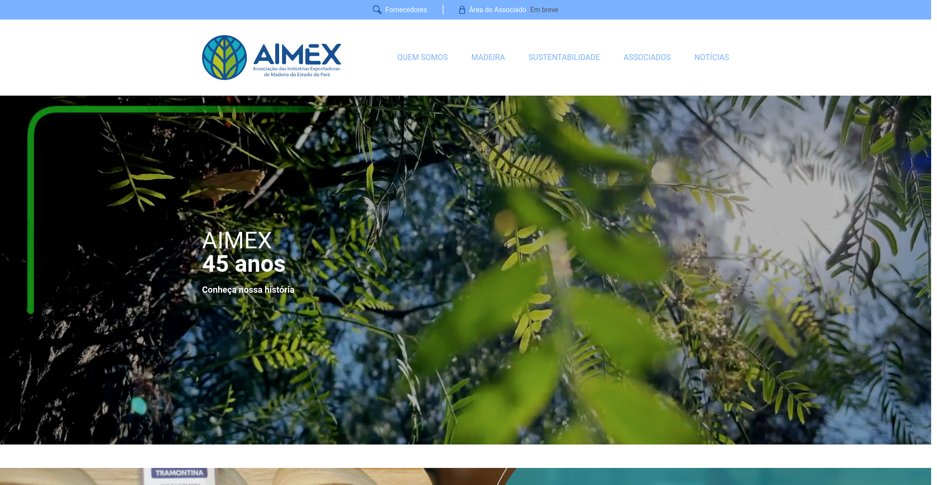 Aimex Frontend