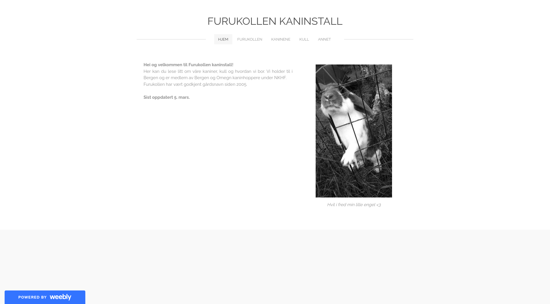 Furukollenshk