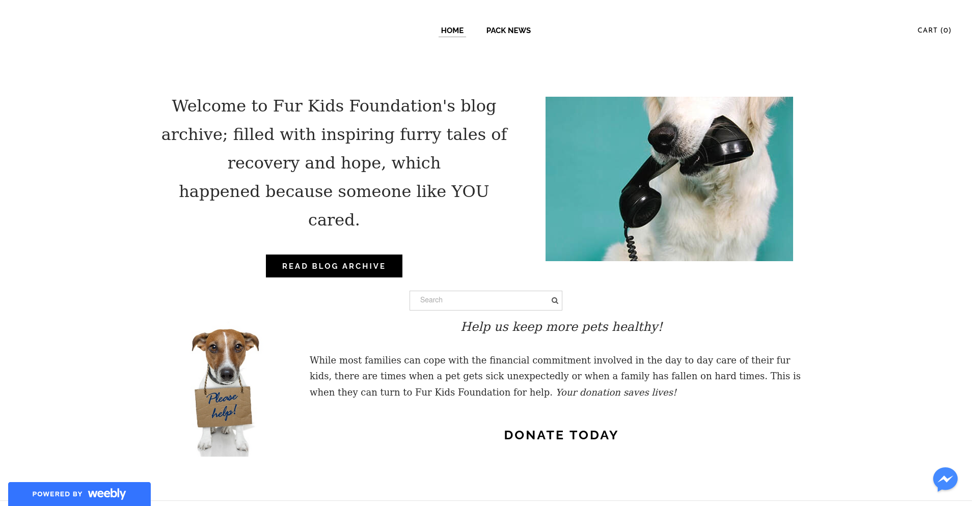 Furkidsfoundation