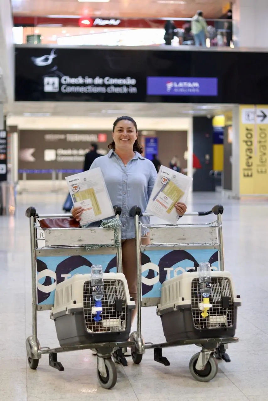 Dra. Júlia no aeroporto com caixas de transporte