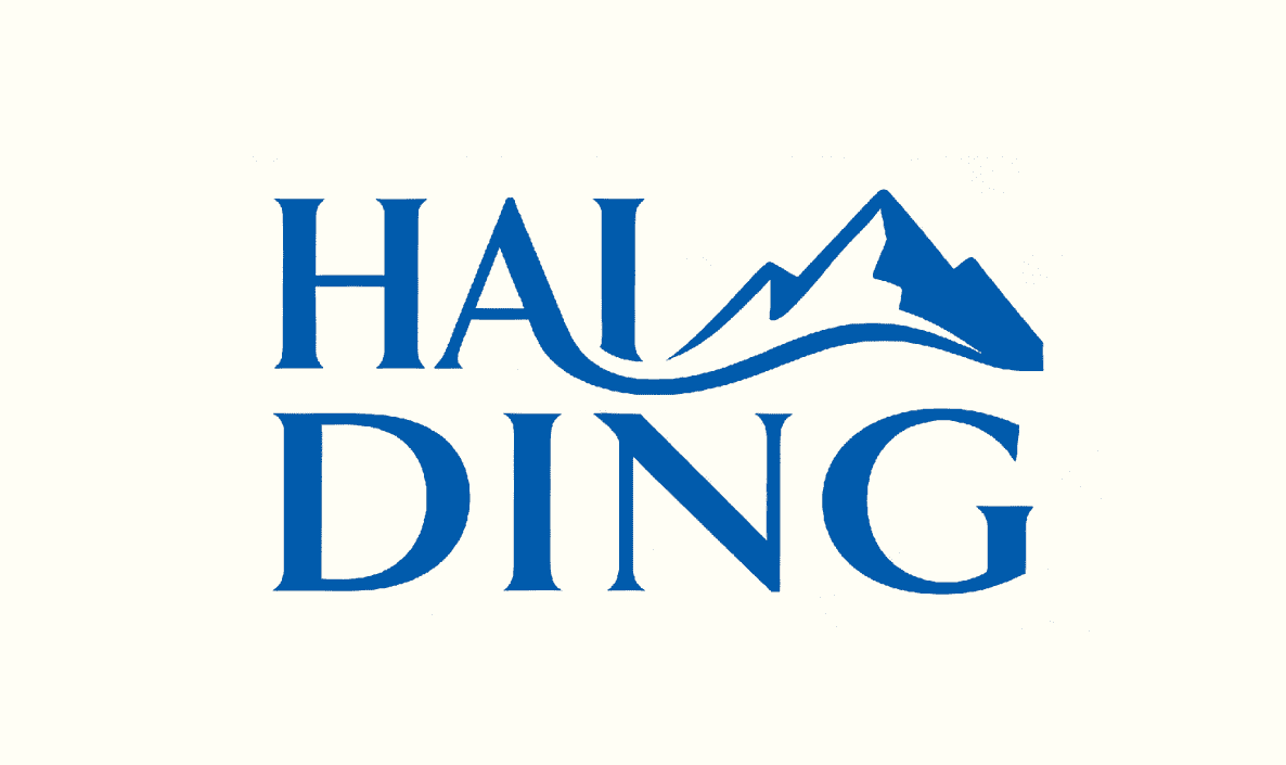 HAIDINGSANYE Logo