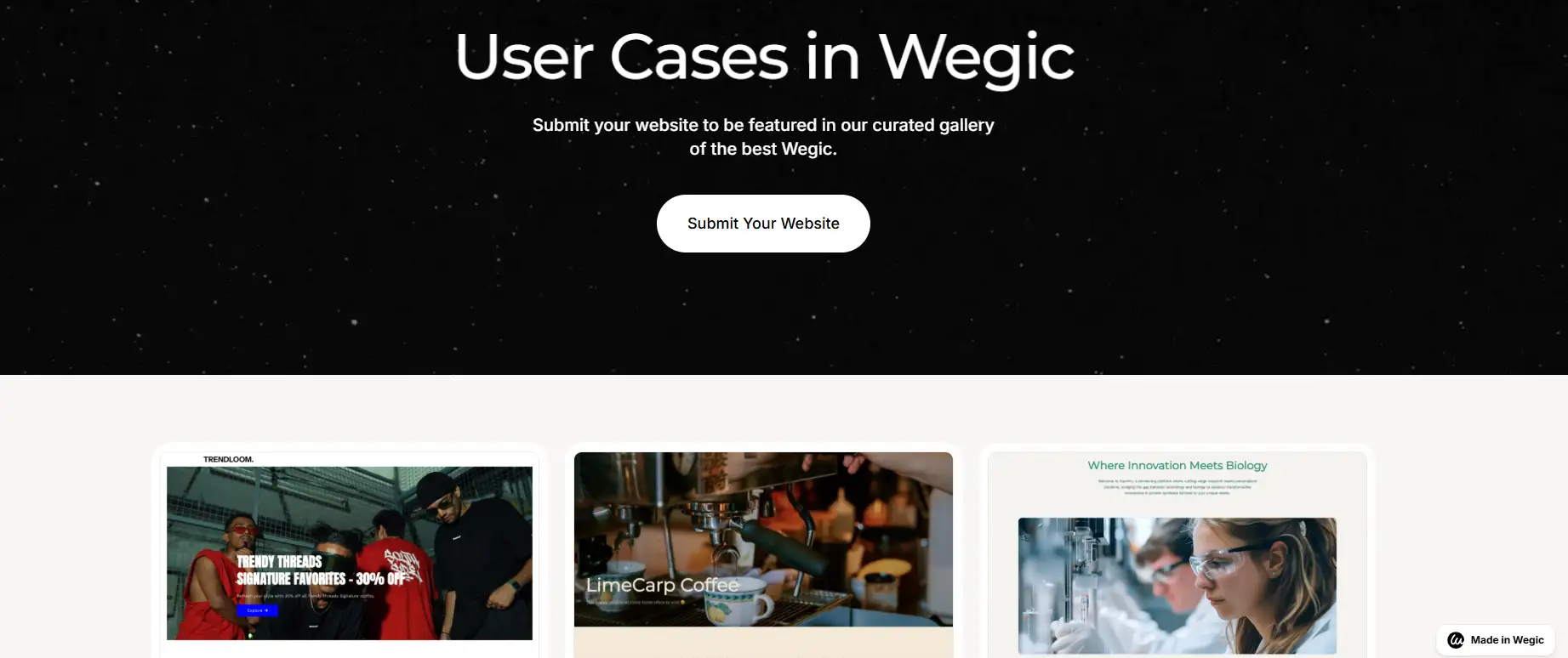 user cases in wegic