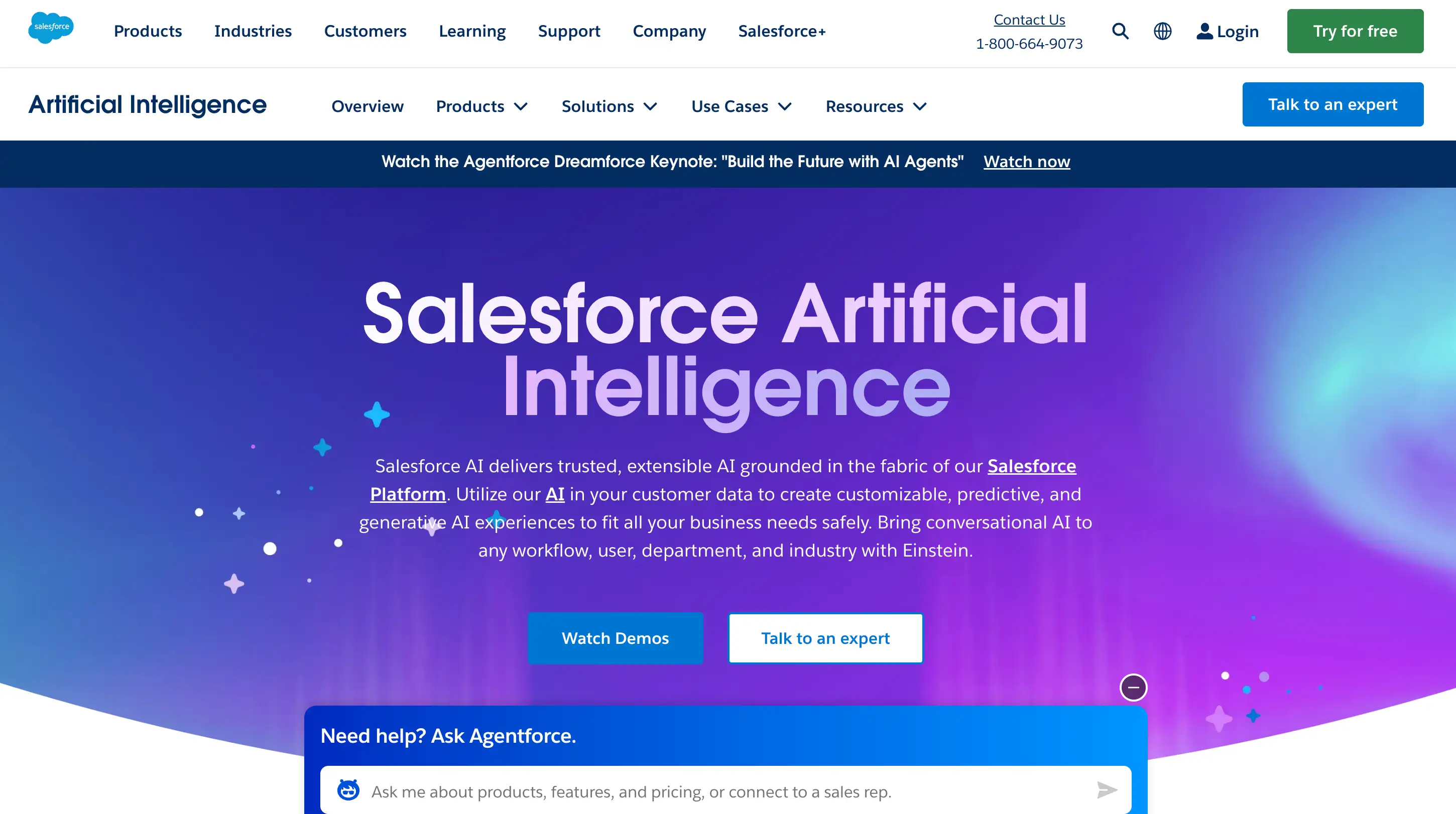 salesforce einstein interface