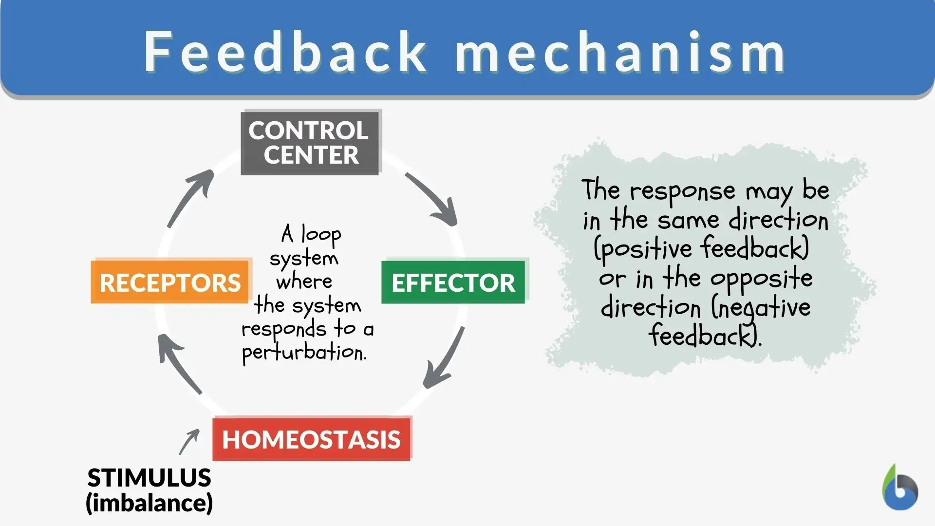 feedback mechanism feedback mechanism