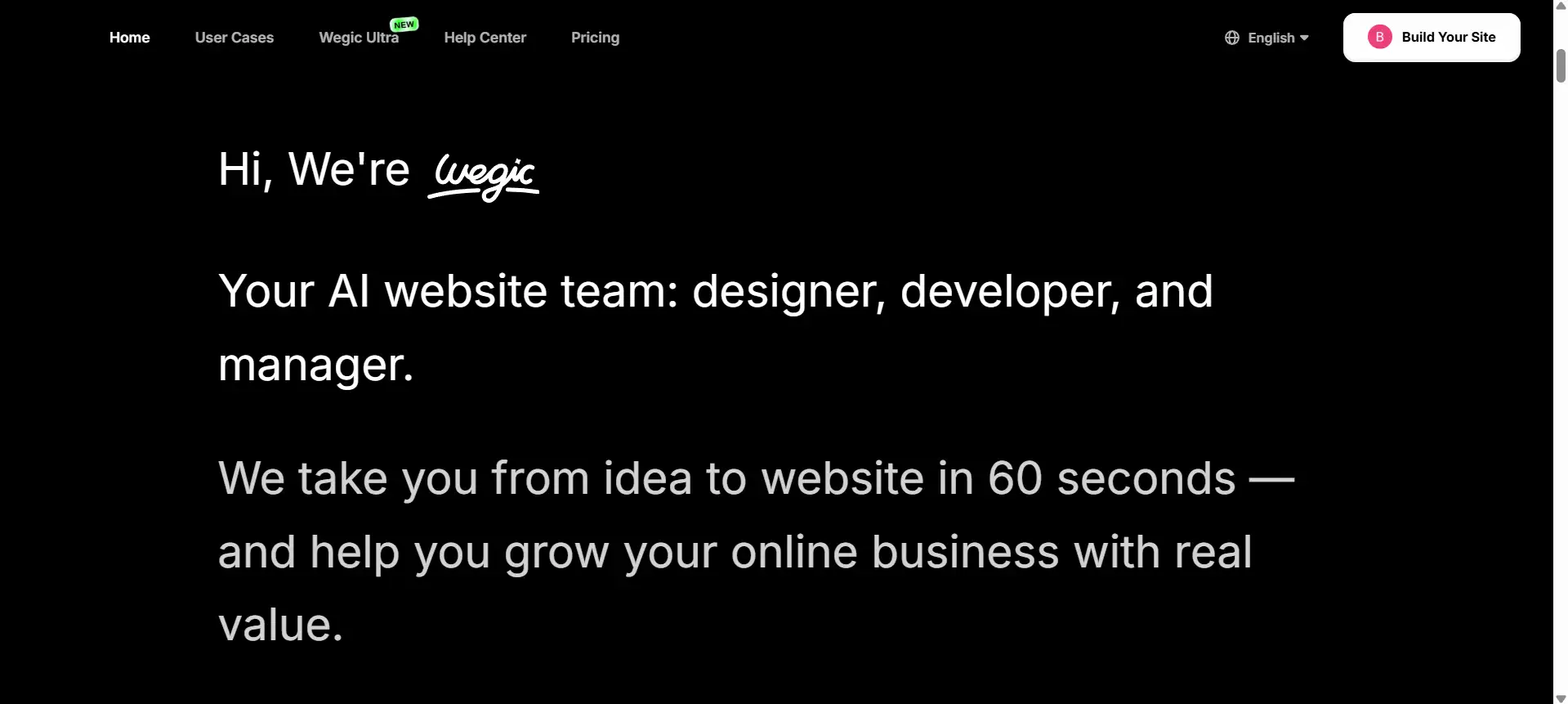 wegic website