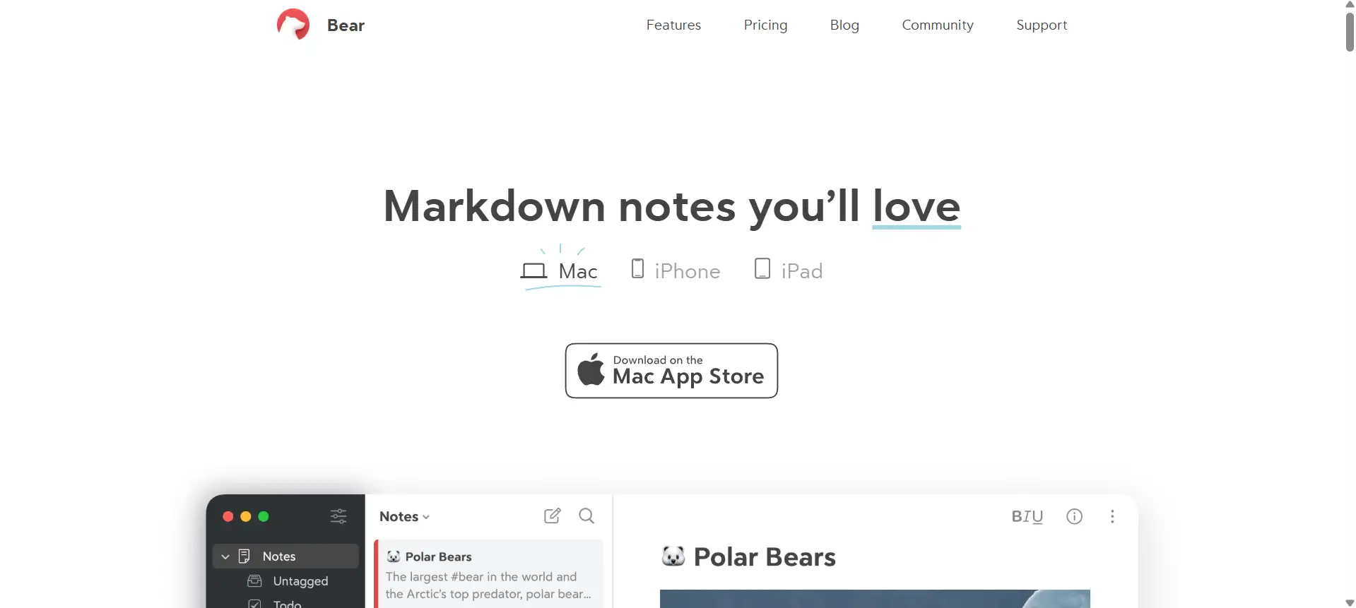 bear note