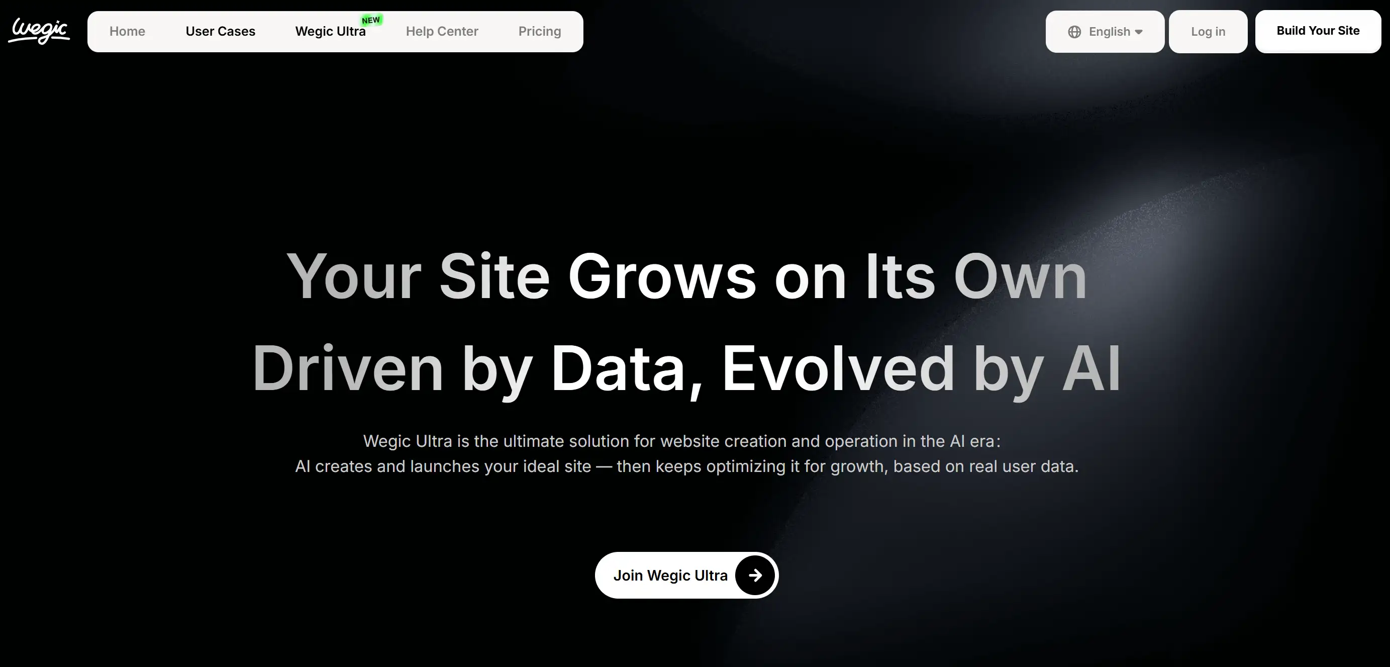 Landing page of Wegic Ultra Landing page of Wegic Ultra