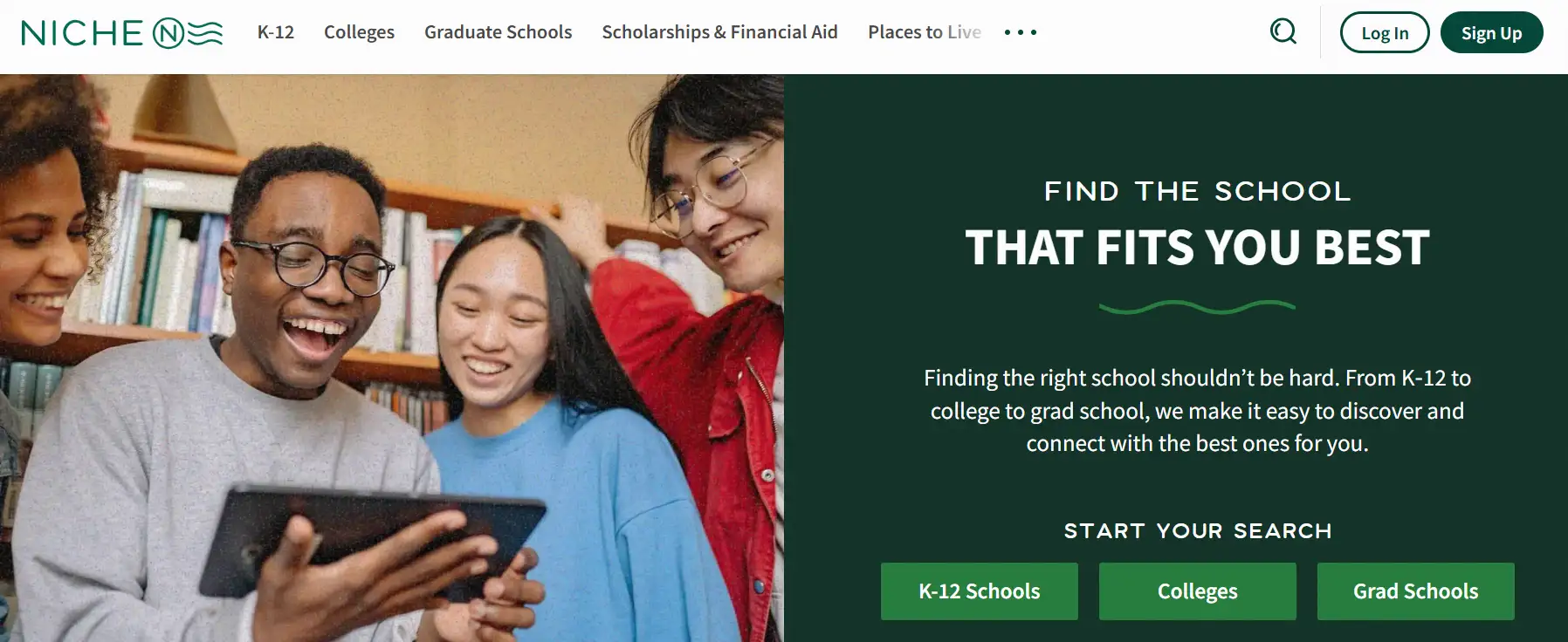 Niche homepage
