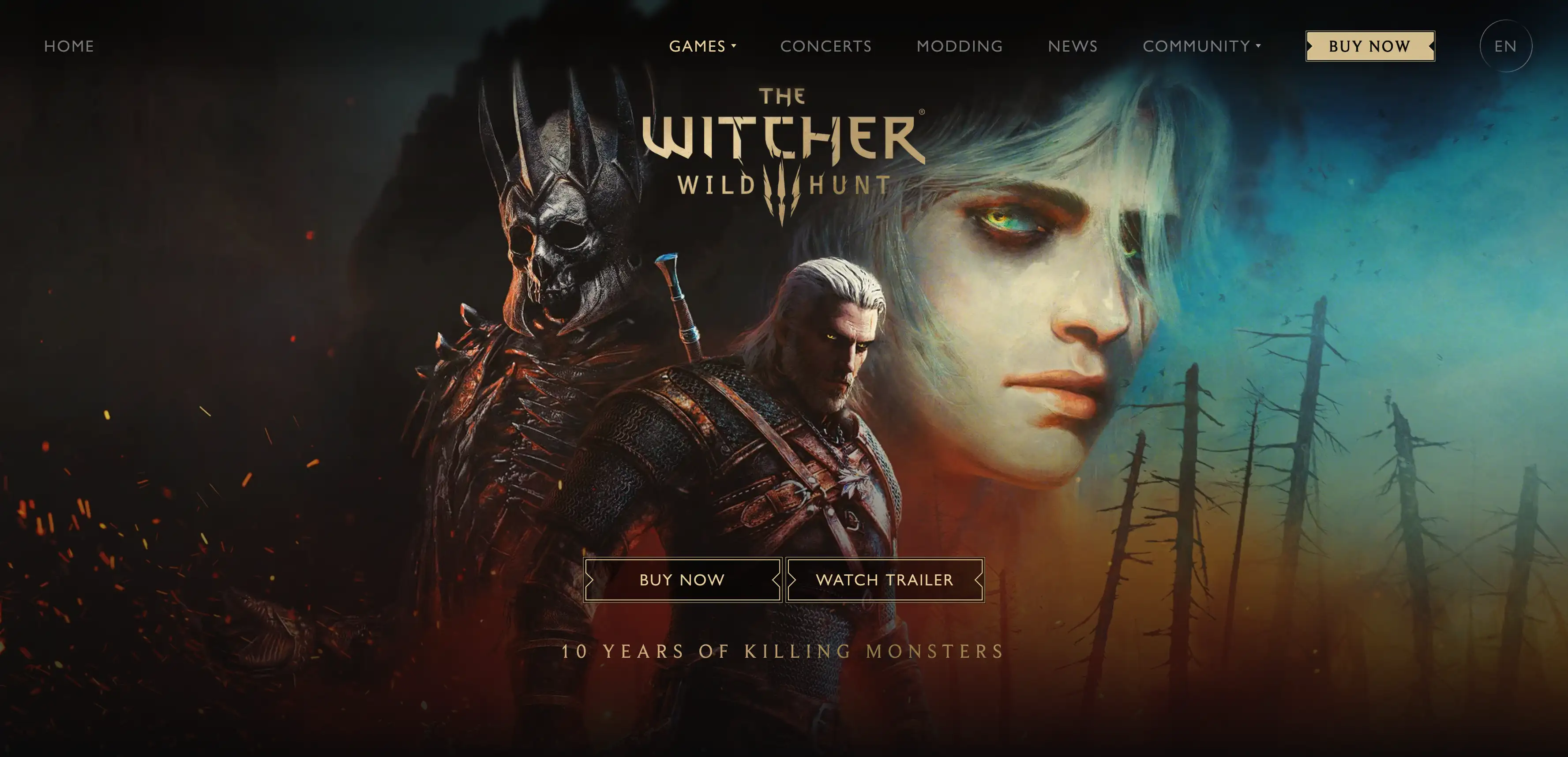 the witcher 3