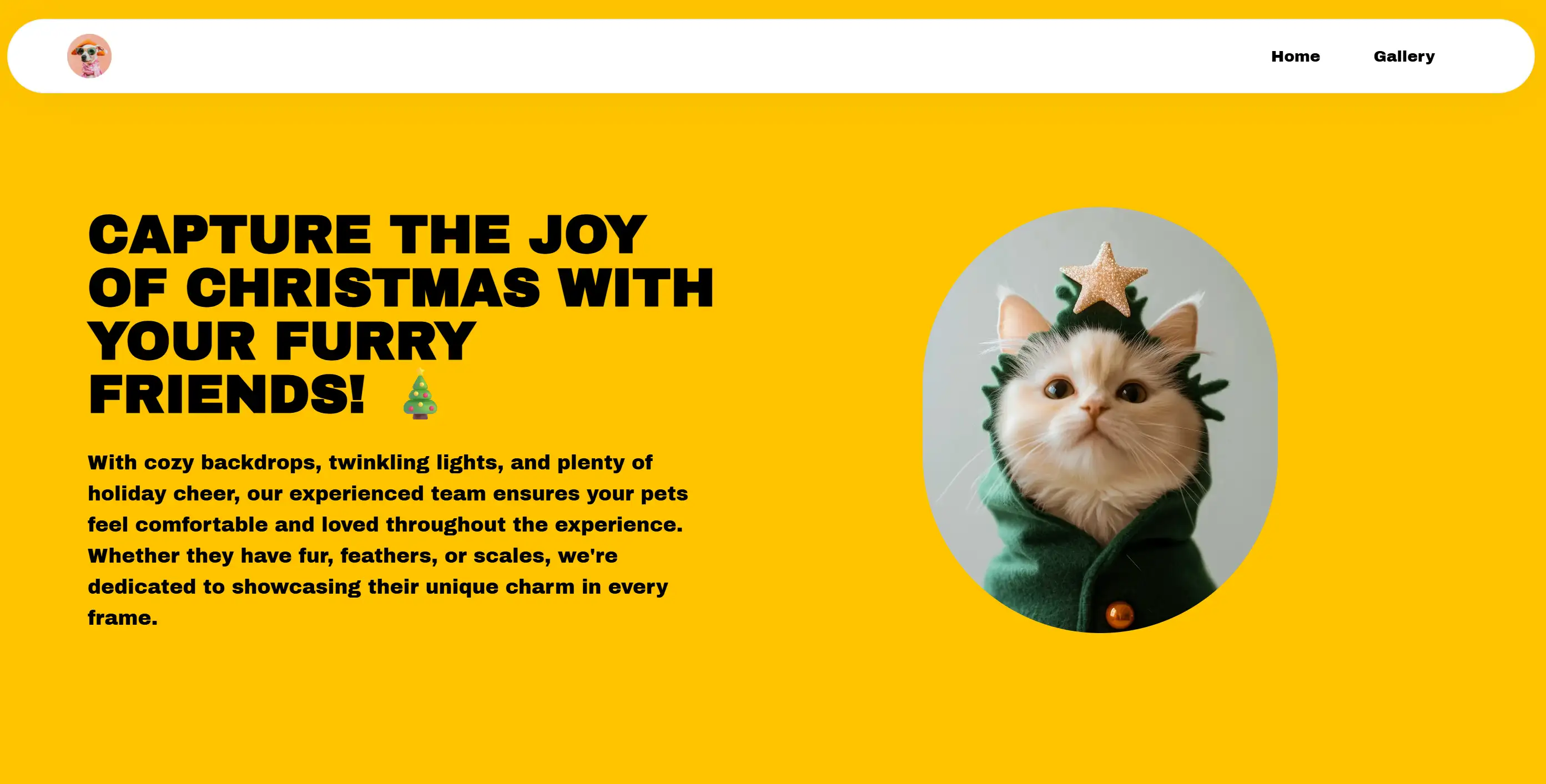 User case of pet photography FurFocus site built on Wegic User case of pet photography FurFocus site built on Wegic