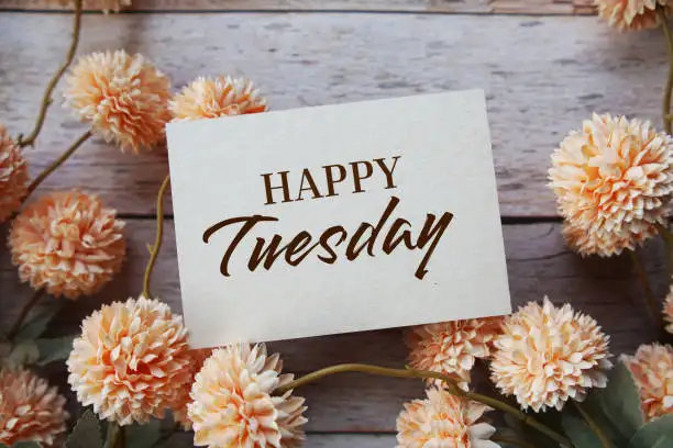 happy tuesday illustartion