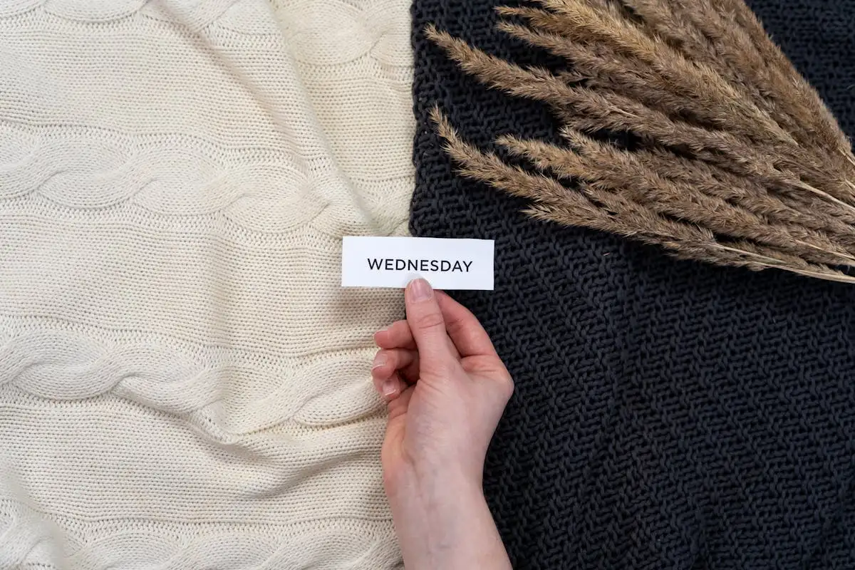 wegic's wednesday symbol