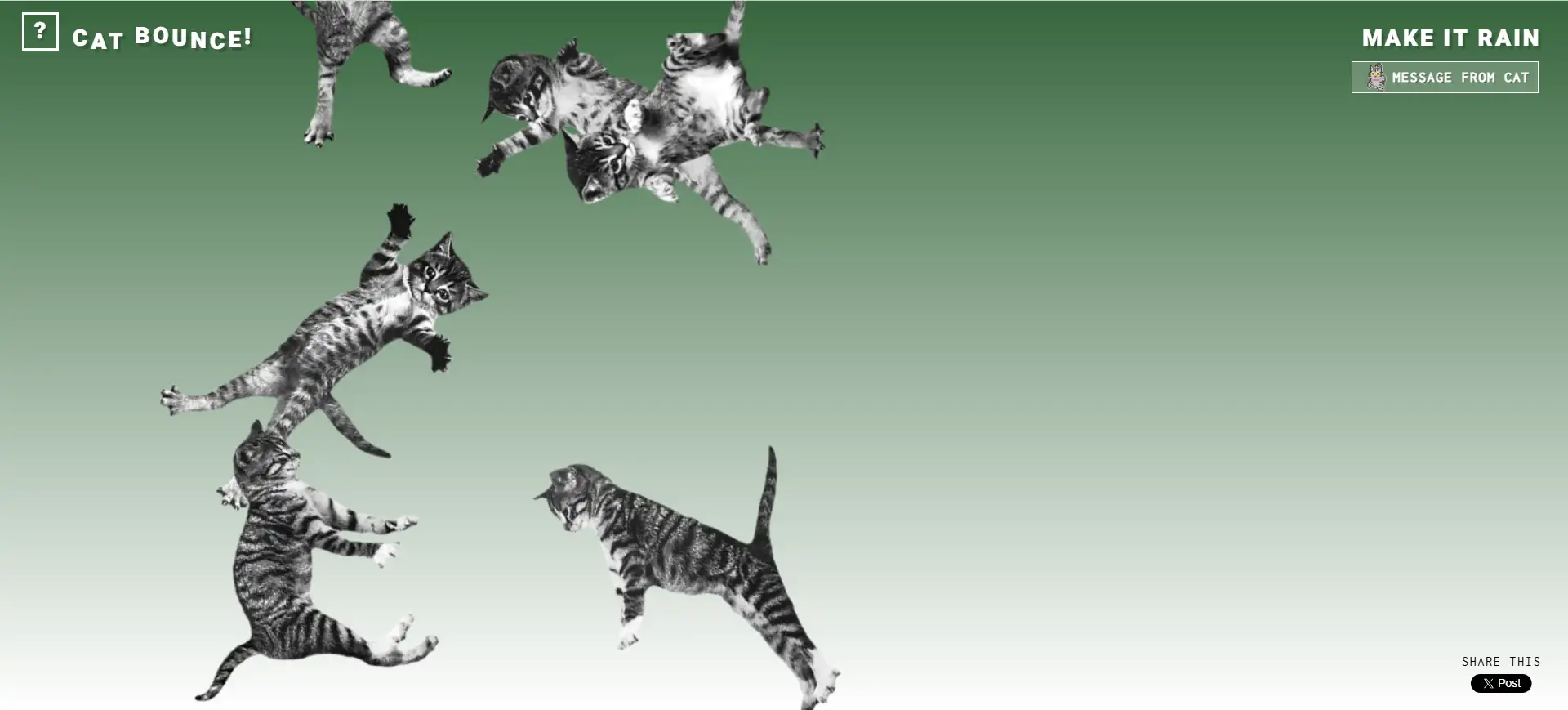 cat bounce cat bounce