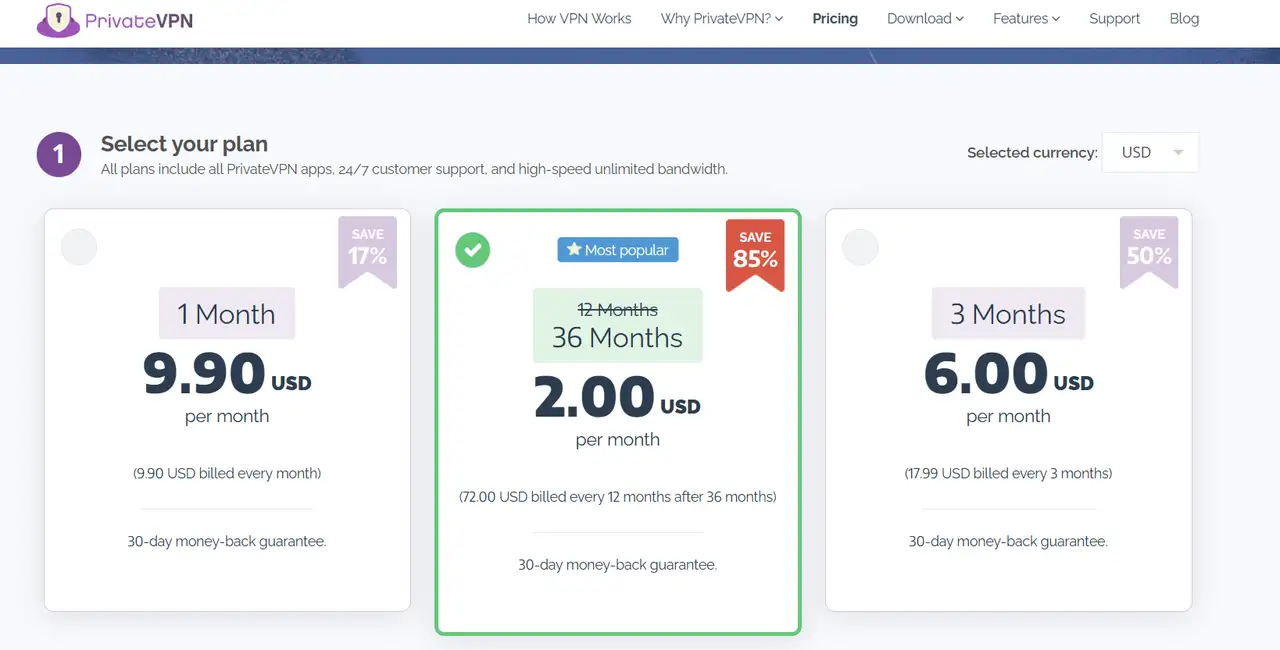 privatevpn cost plan