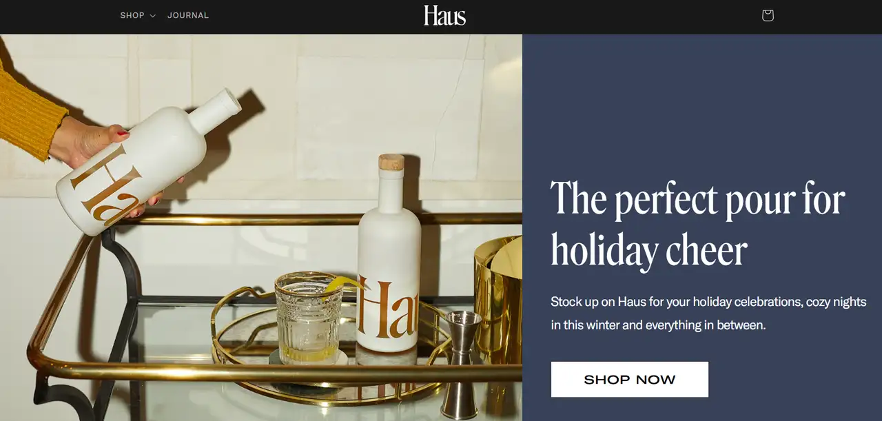 haus shows an adventurous and contemporary design