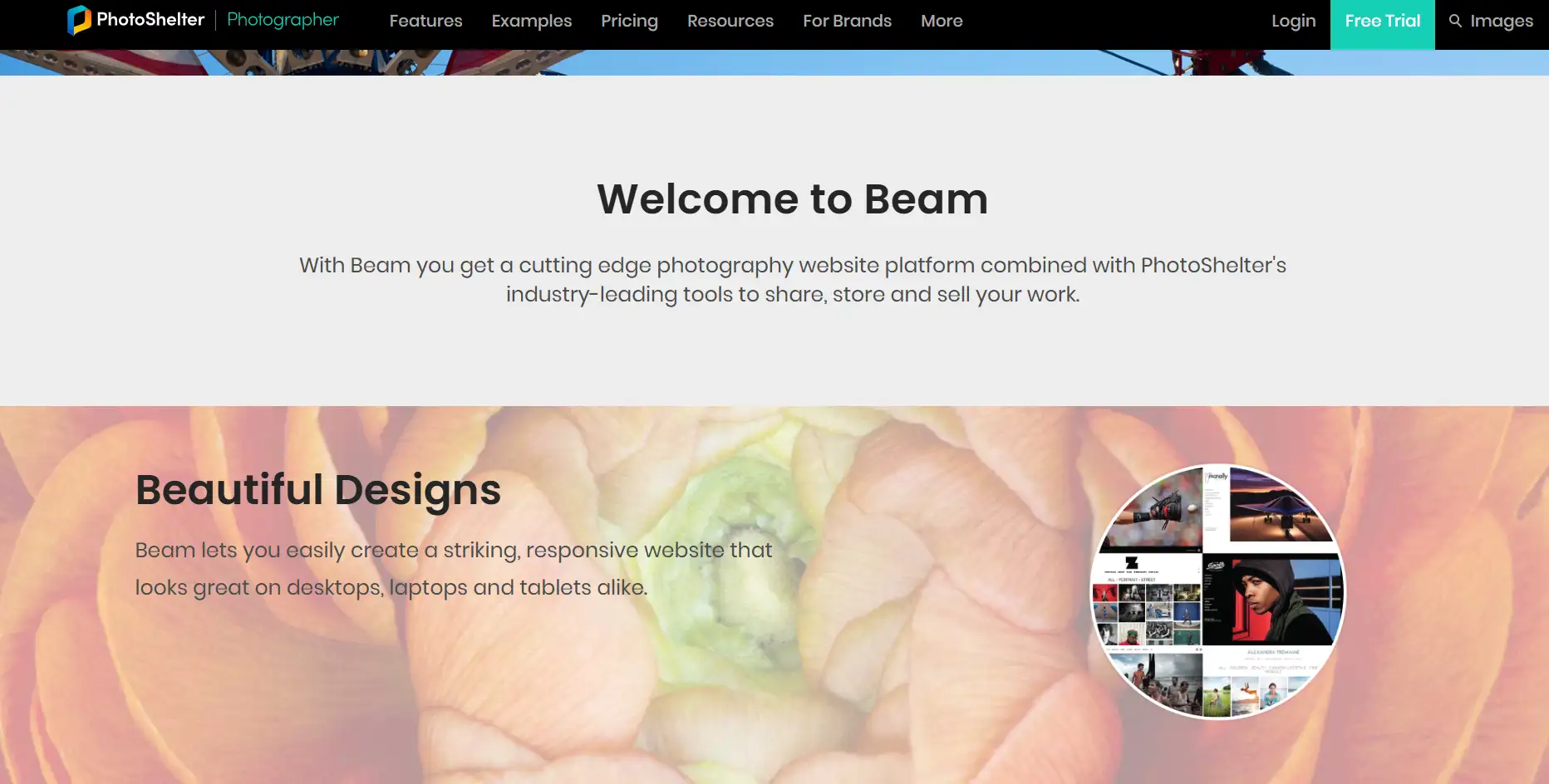 photoshelter template