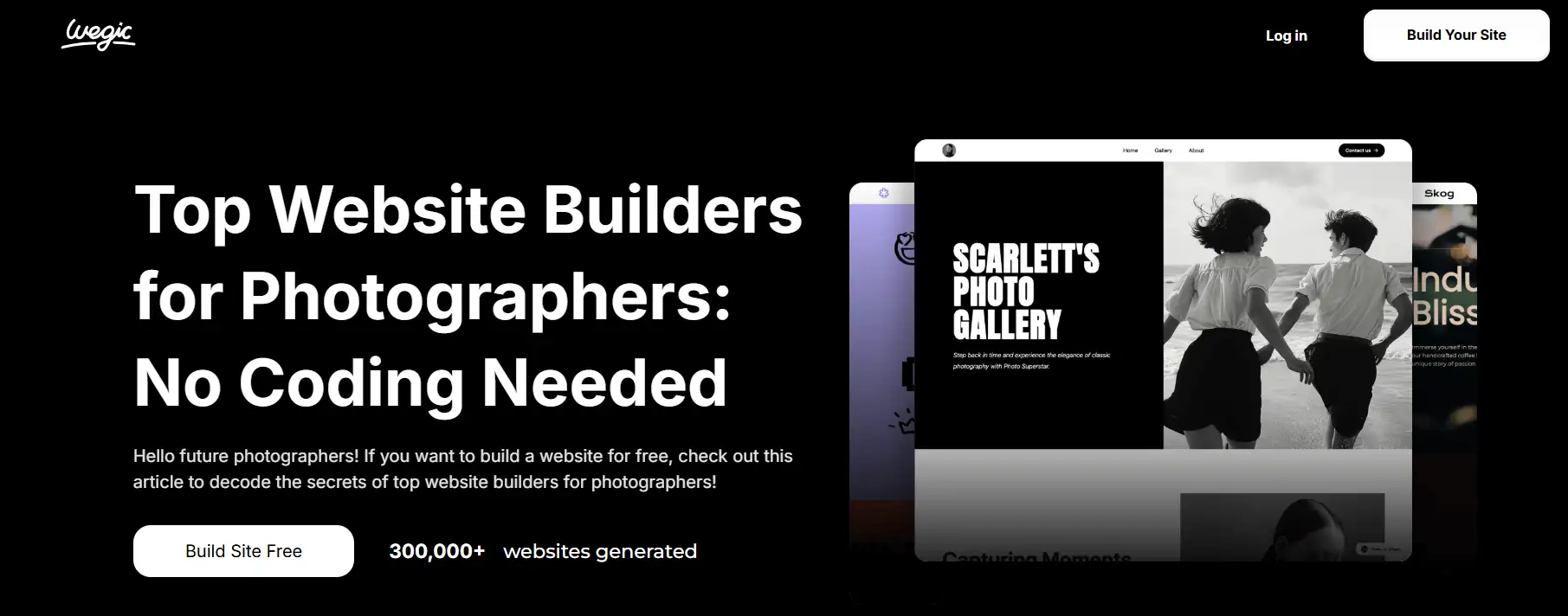 wegic template