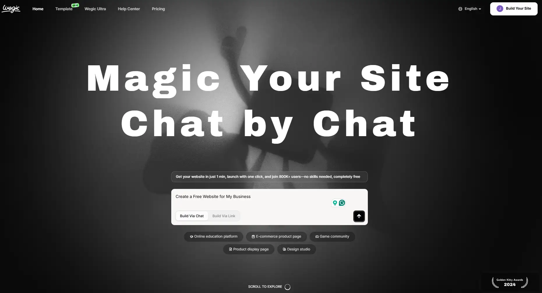 Wegic's homepage