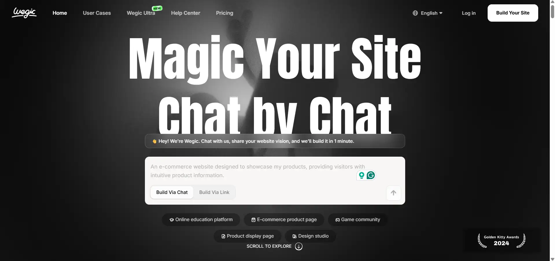 Wegic website