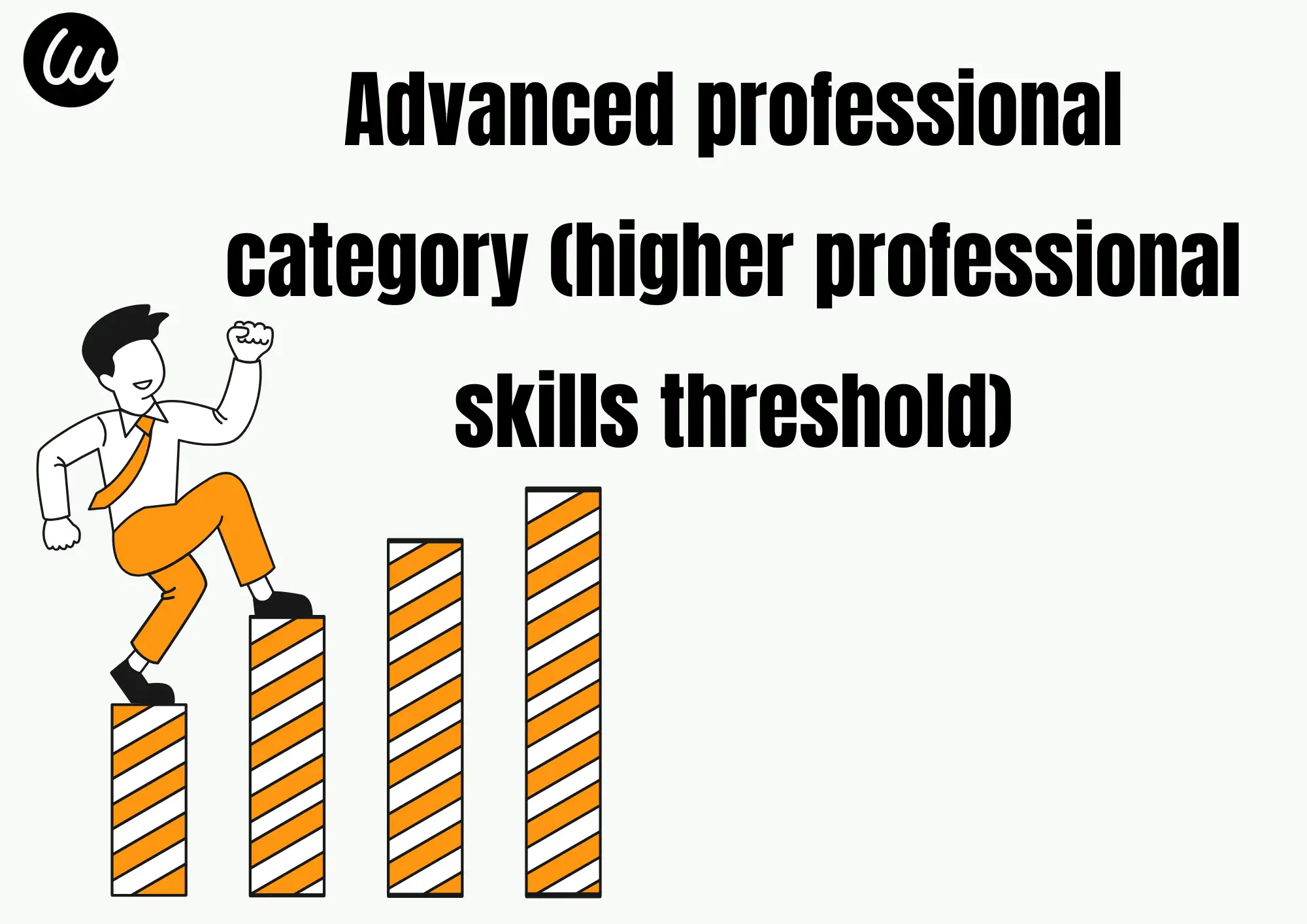 Advanced professional category (higher professional skills threshold)
