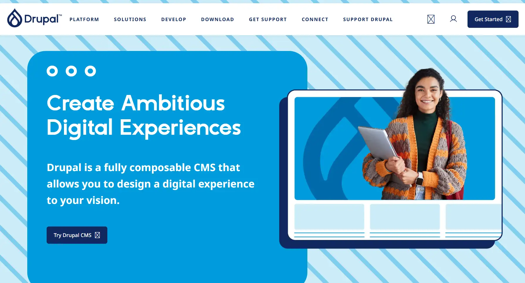 The homepage of WordPress