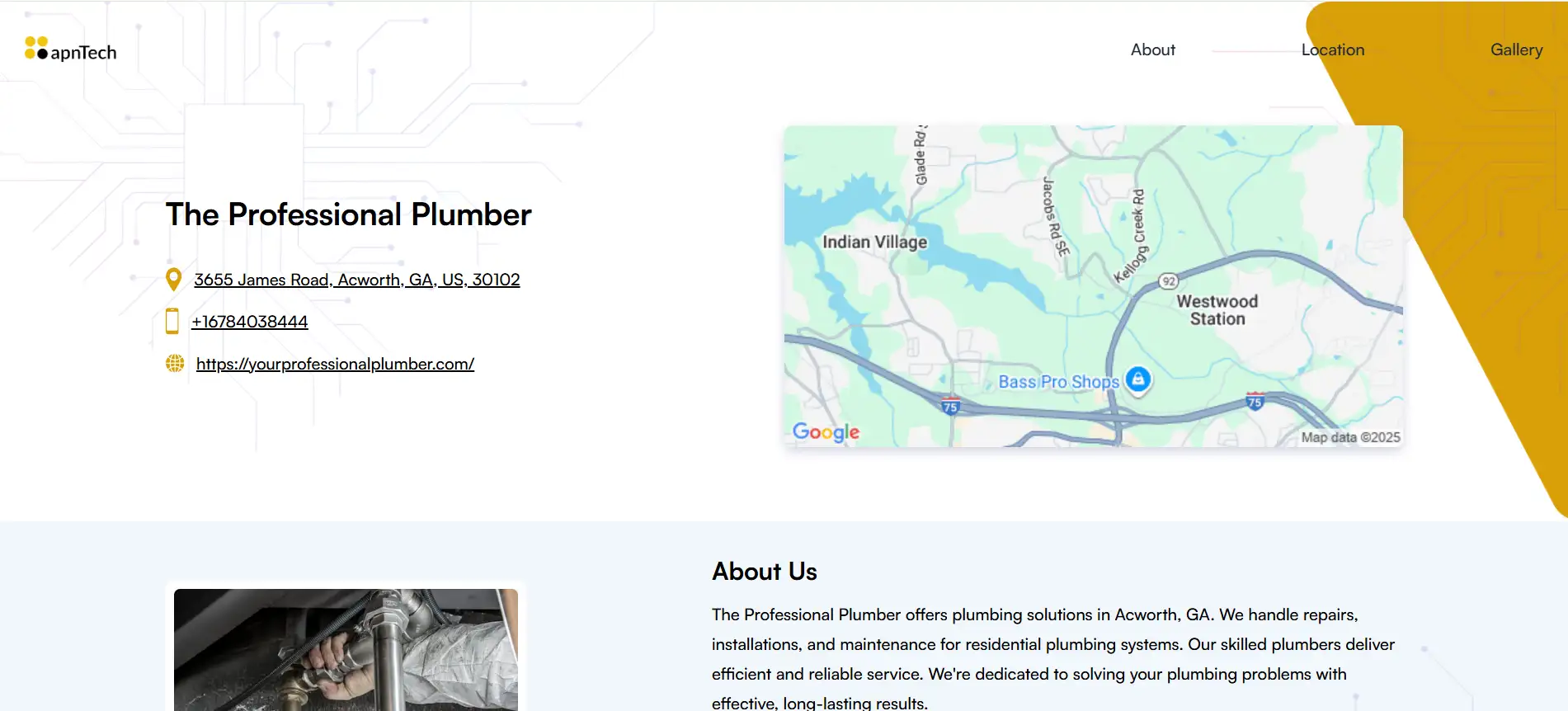 professional plumber
