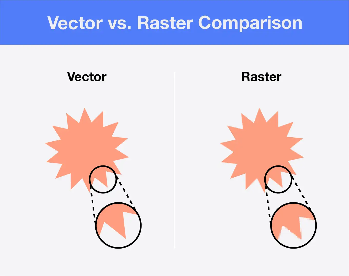 vector and raster