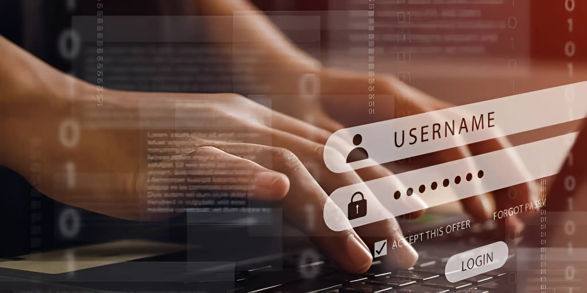 users enter information when accessing the dark web