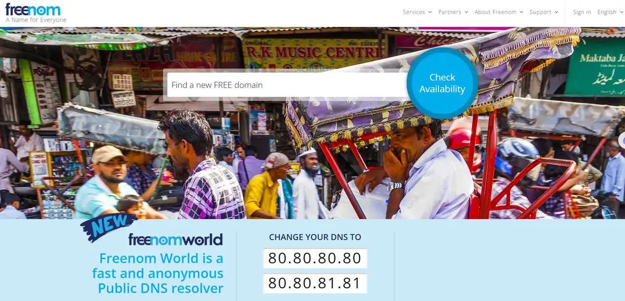 freenom domain hosting