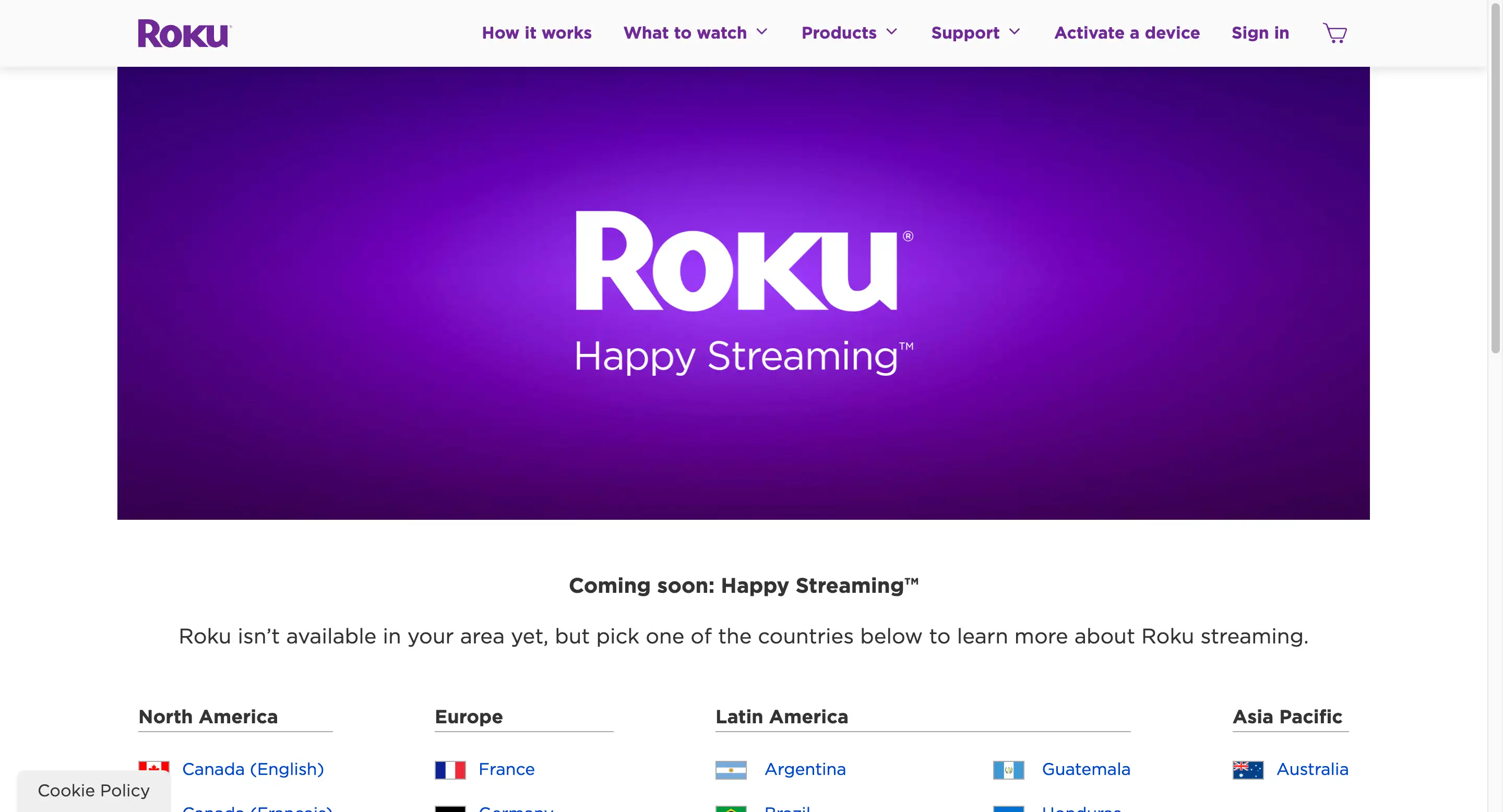 the roku channel homepage