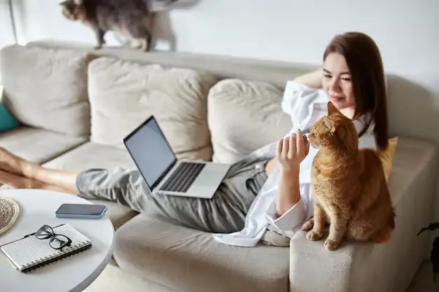 A curious cat looking at a laptop screen, representing the fun and weird websites available online. A curious cat looking at a laptop screen, representing the fun and weird websites available online.