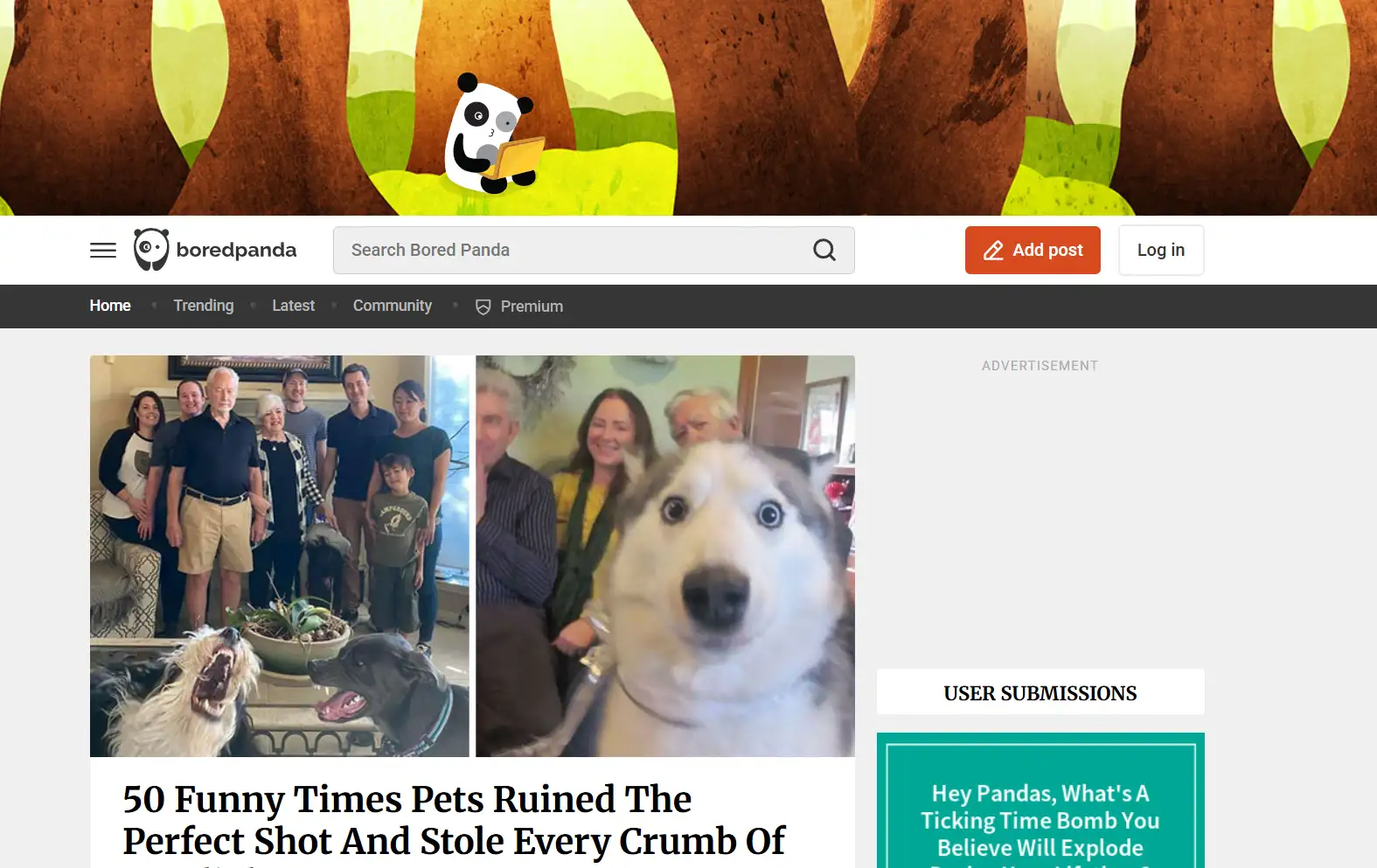 Bored Panda's homepage Bored Panda's homepage