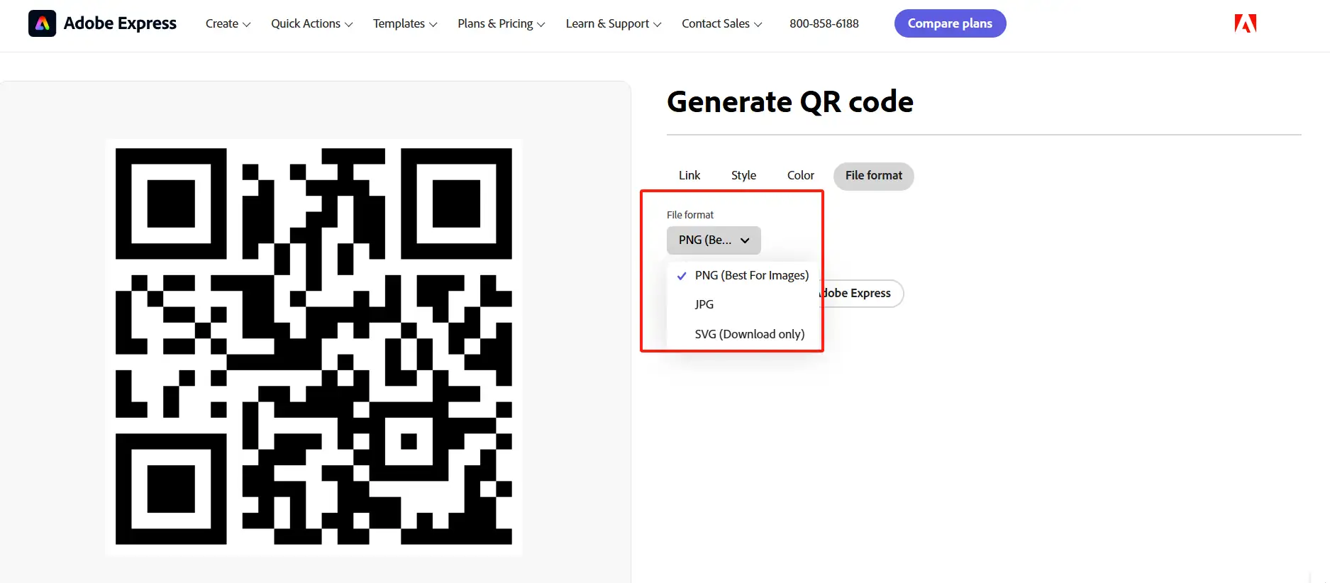 select the image format
