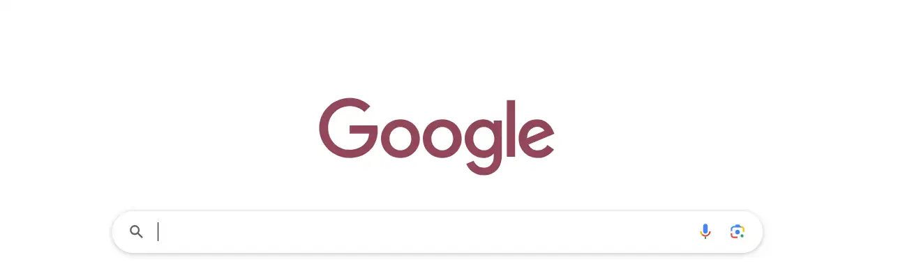 Check Your Website on Google