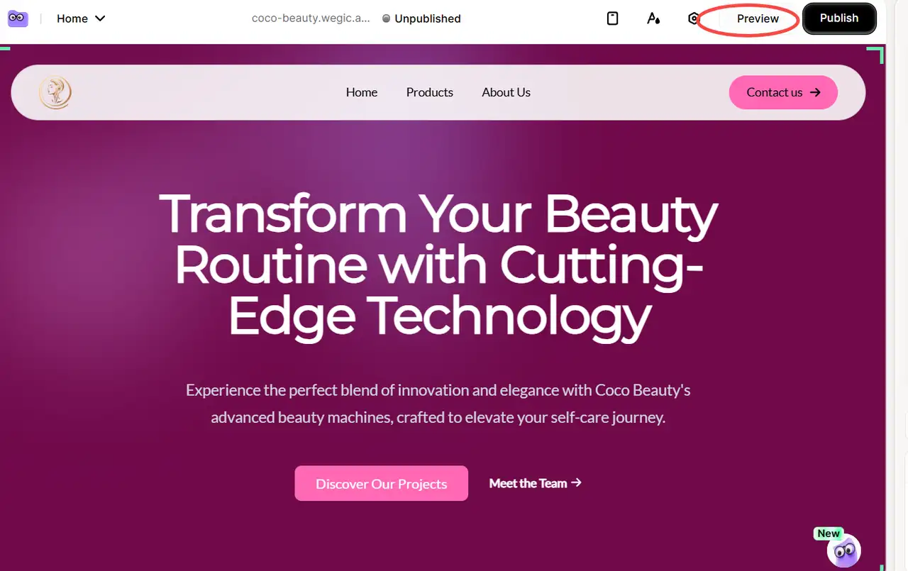preview the website