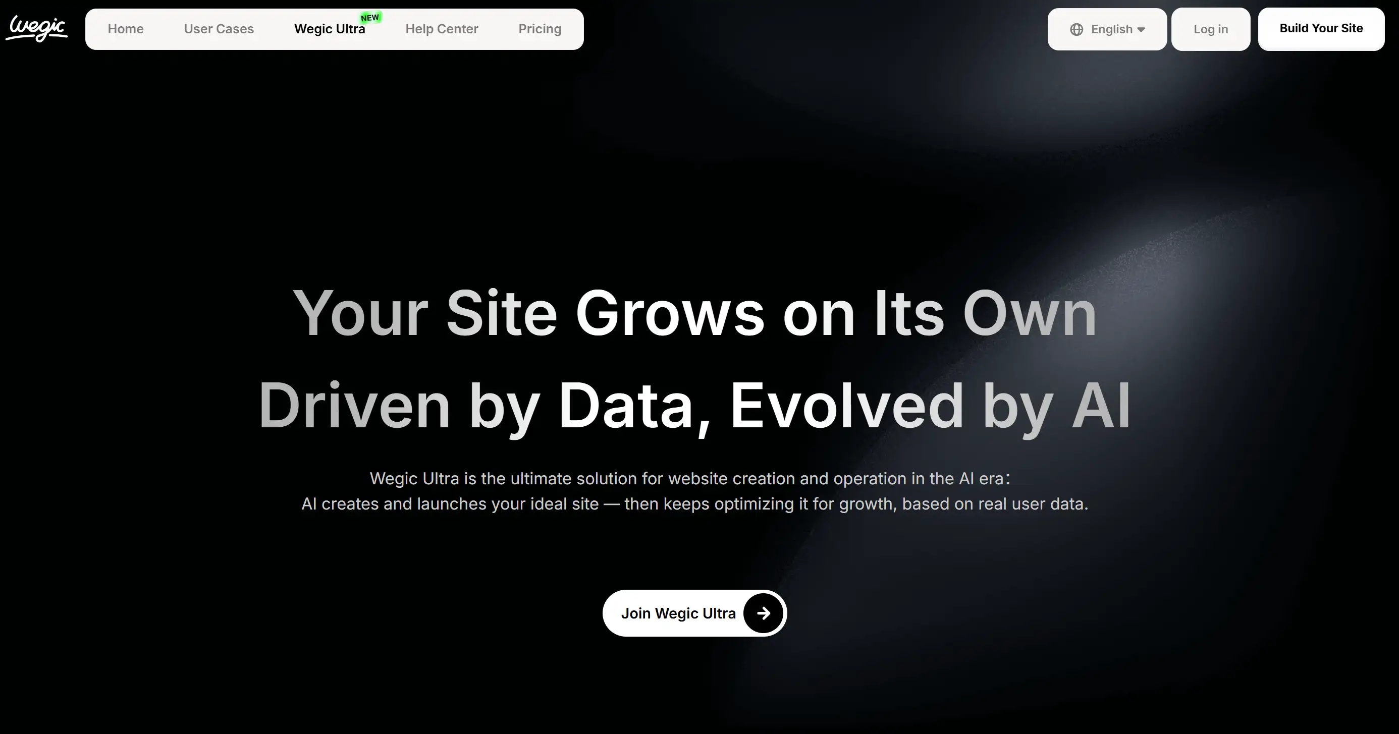 Landing page of Wegic AI Ultra Landing page of Wegic AI Ultra