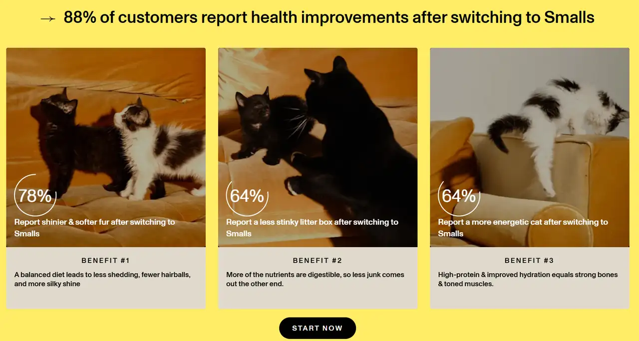 small’s landing page is easy to use and inviting.