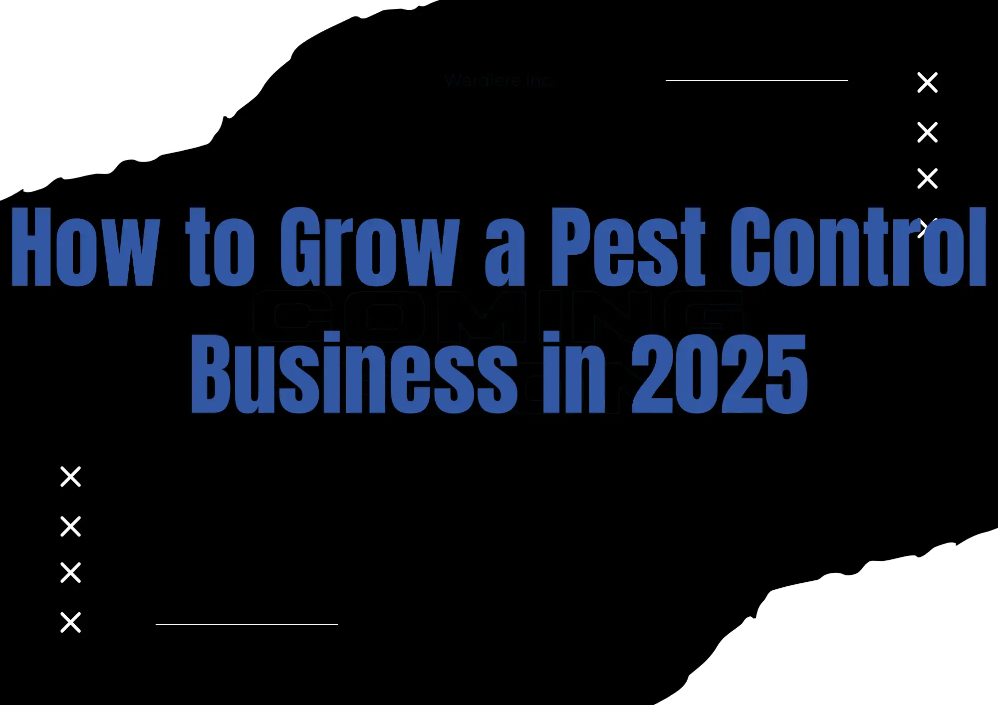 pest control business