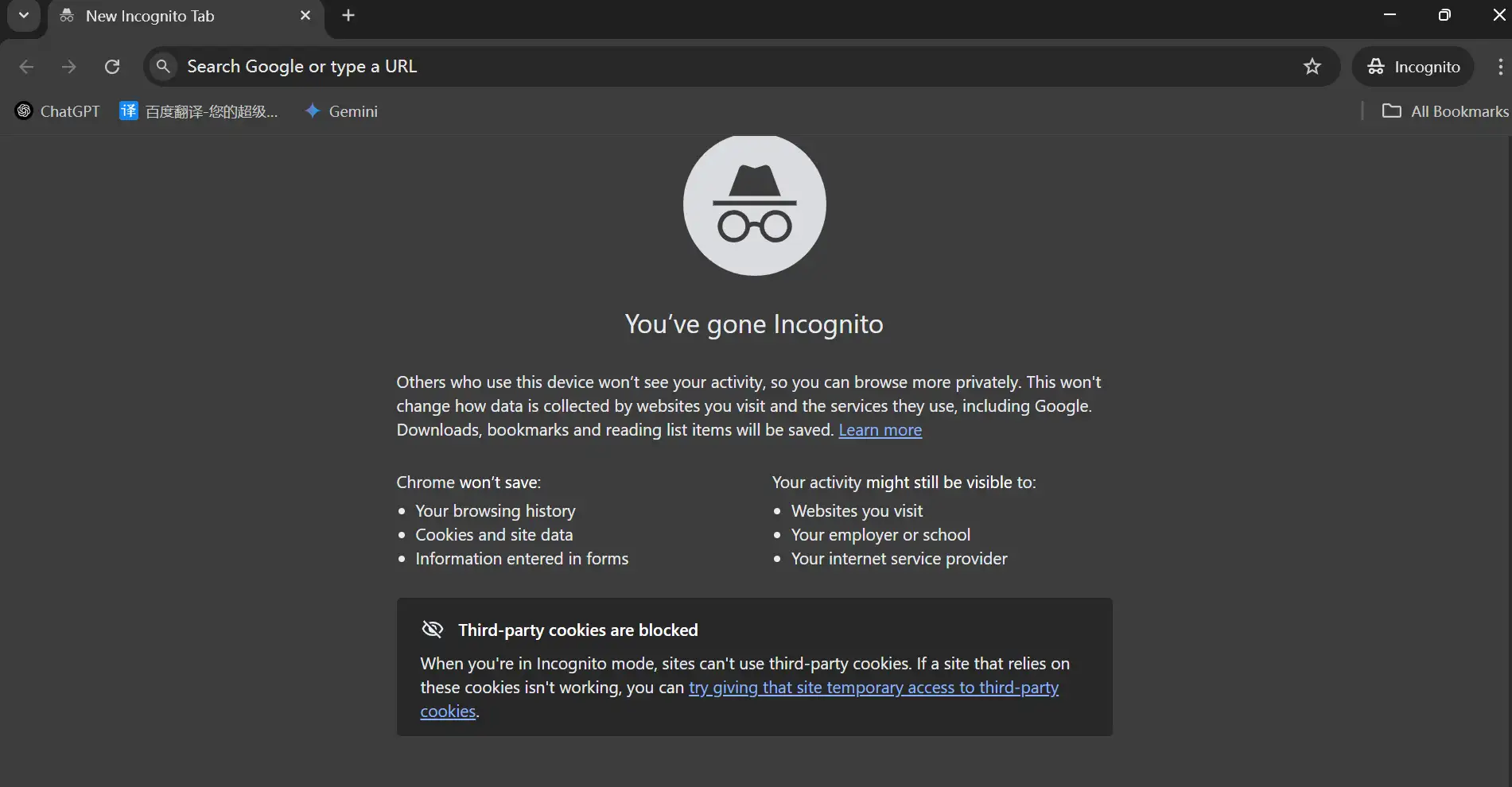 An incognito window on Google Chrome