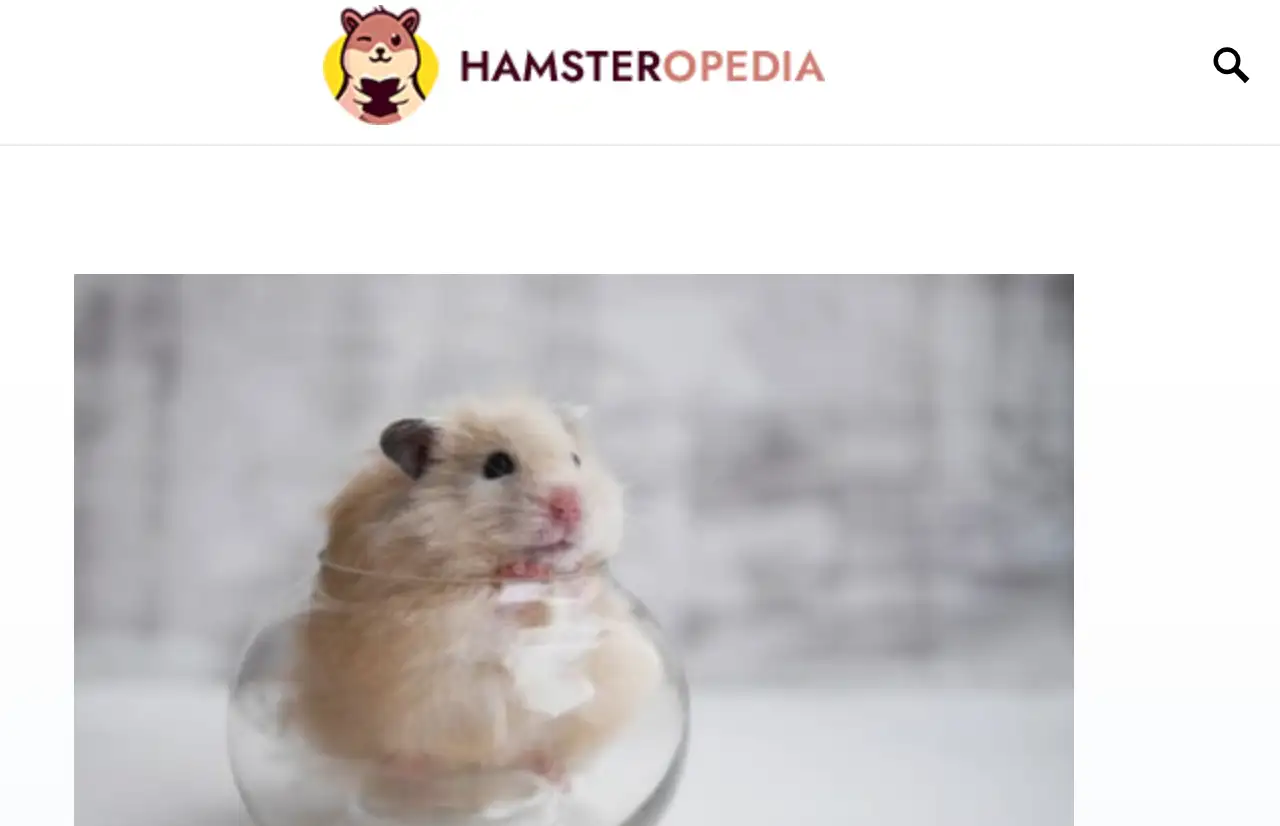 Hamsteropedia website homepage